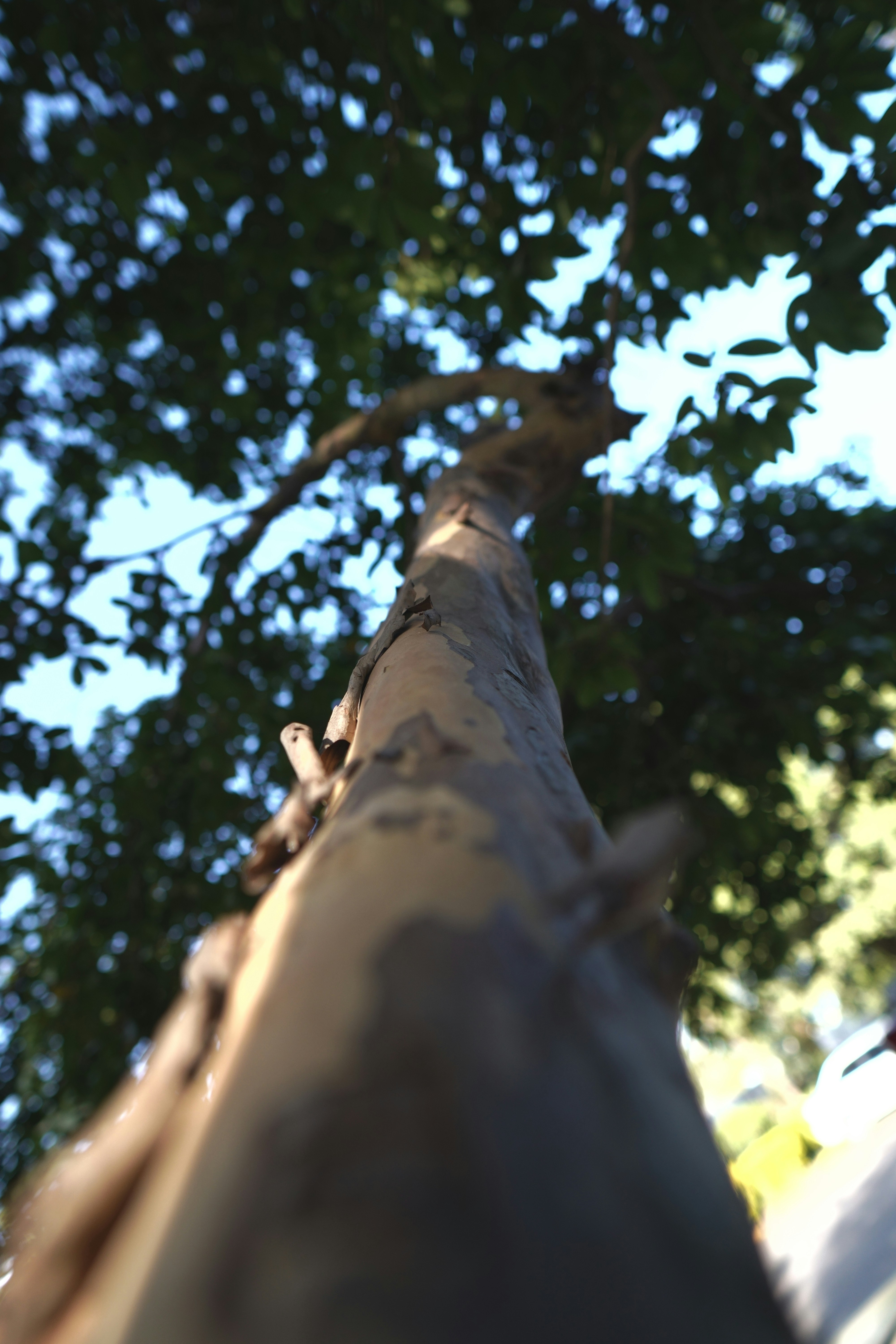 Photo by vincent_muriuki