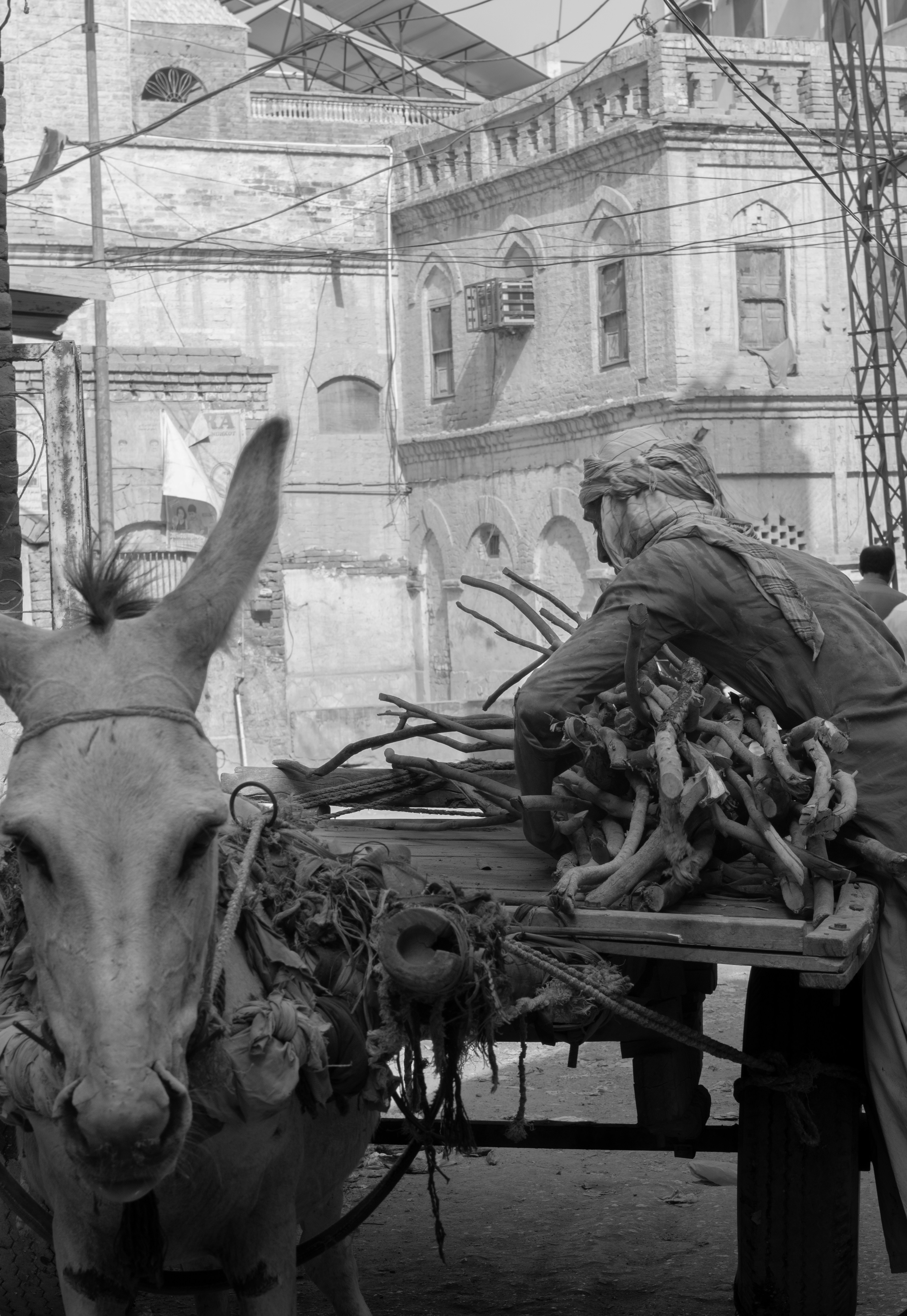 a donkey pulling a cart with a man on it