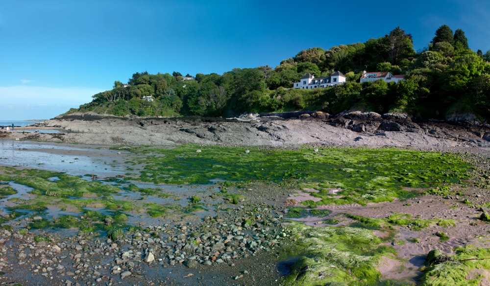 a rocky shore with a house on a hill in the background