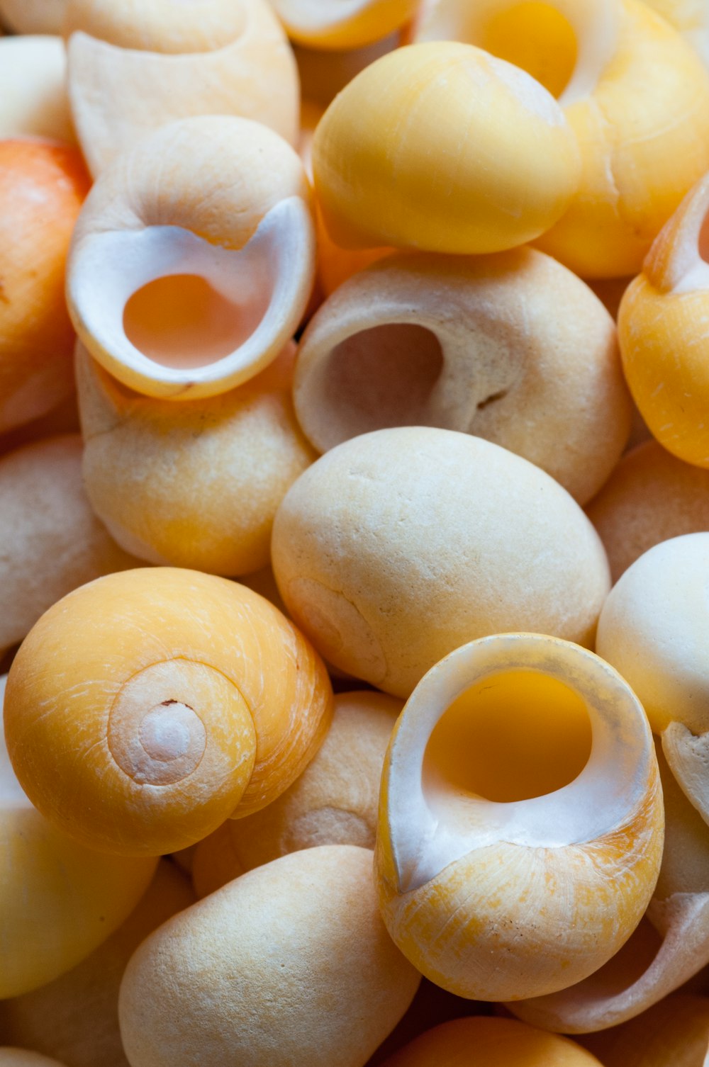 a close up of a bunch of different types of doughnuts