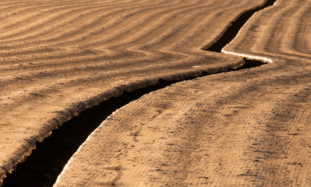 a dirt road with a line of tracks in the middle of it