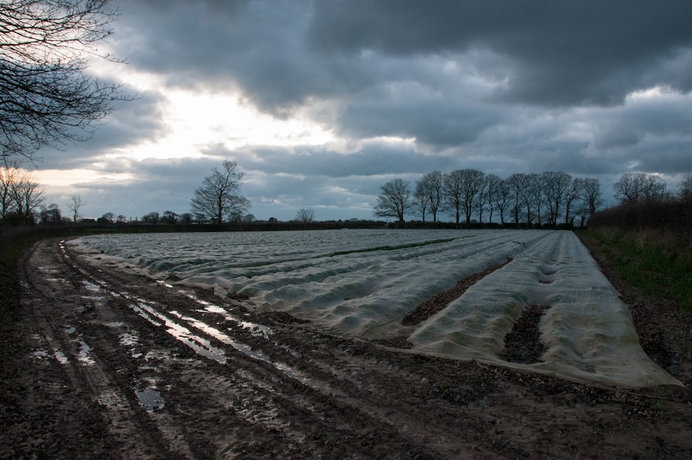 a dirt road with a field in the background under a cloudy sky