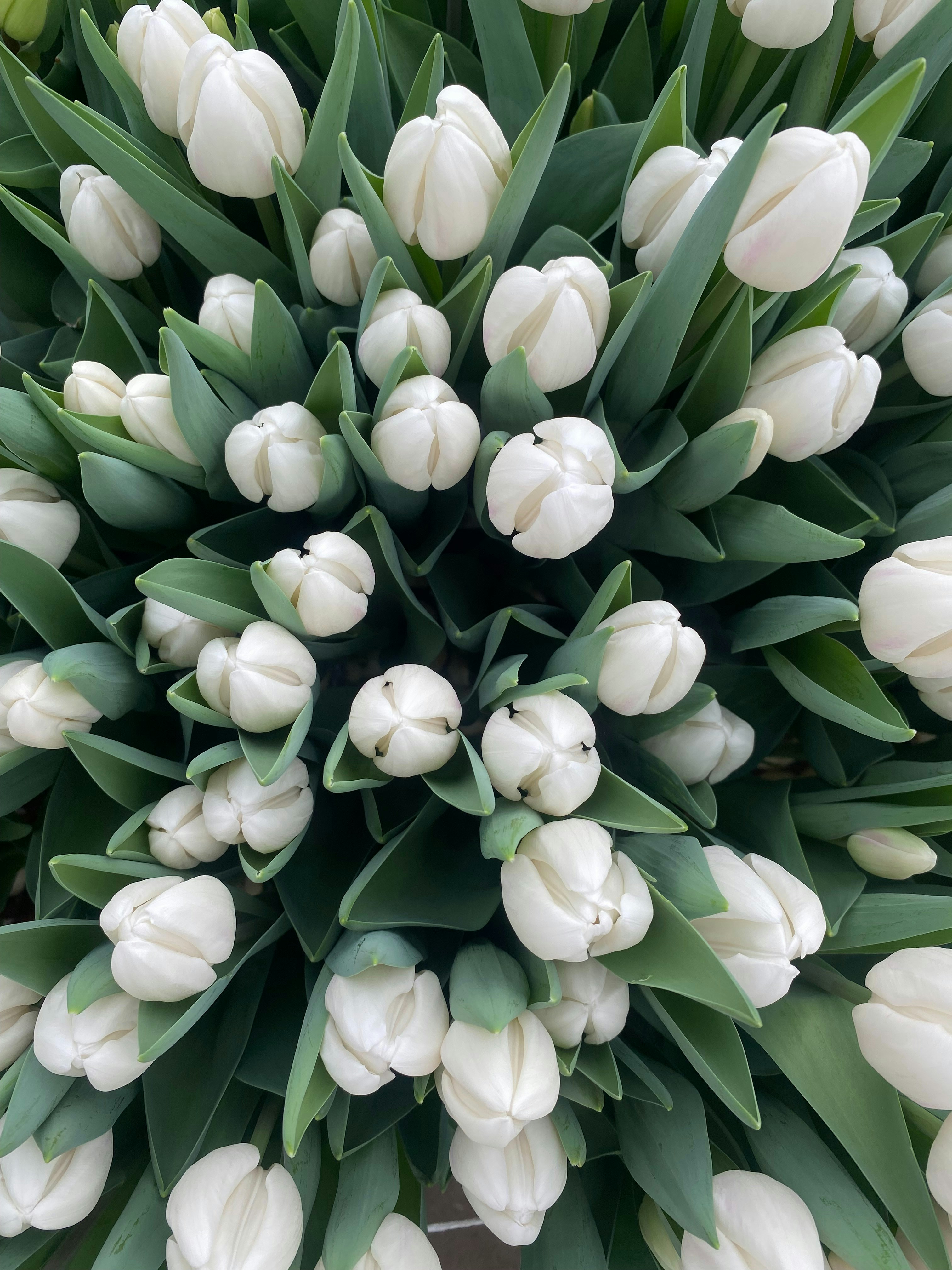 Photo by victoriab13