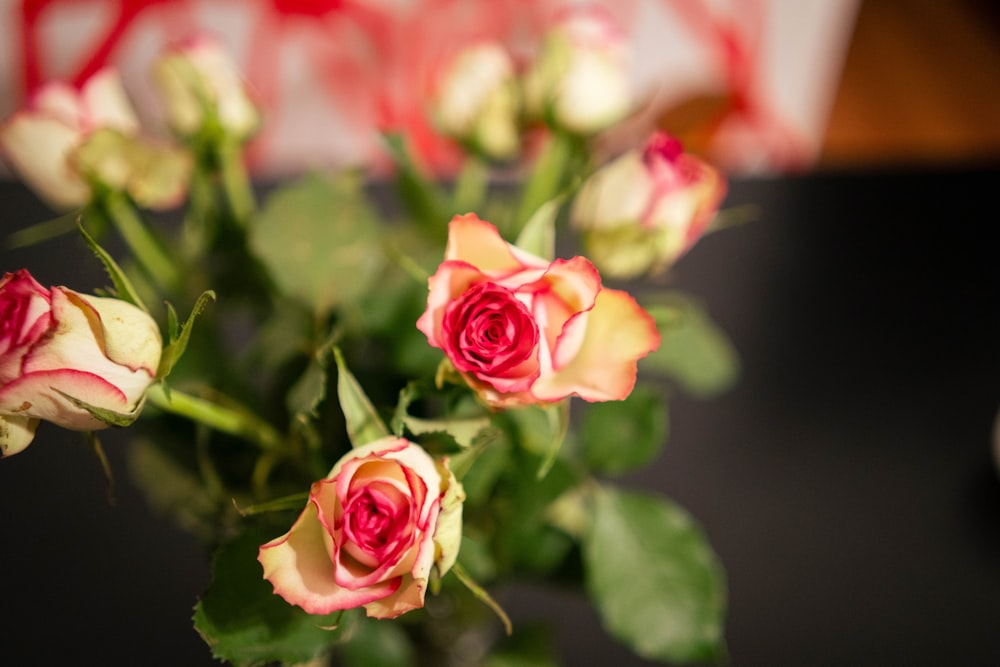 a vase filled with pink and white roses