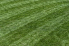 a baseball player standing on top of a lush green field