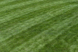 a baseball player standing on top of a lush green field