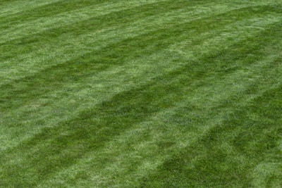 a well manicured lawn with lawn mowing stripes