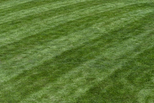 a well manicured lawn with lawn mowing stripes