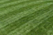 a baseball player standing on top of a lush green field