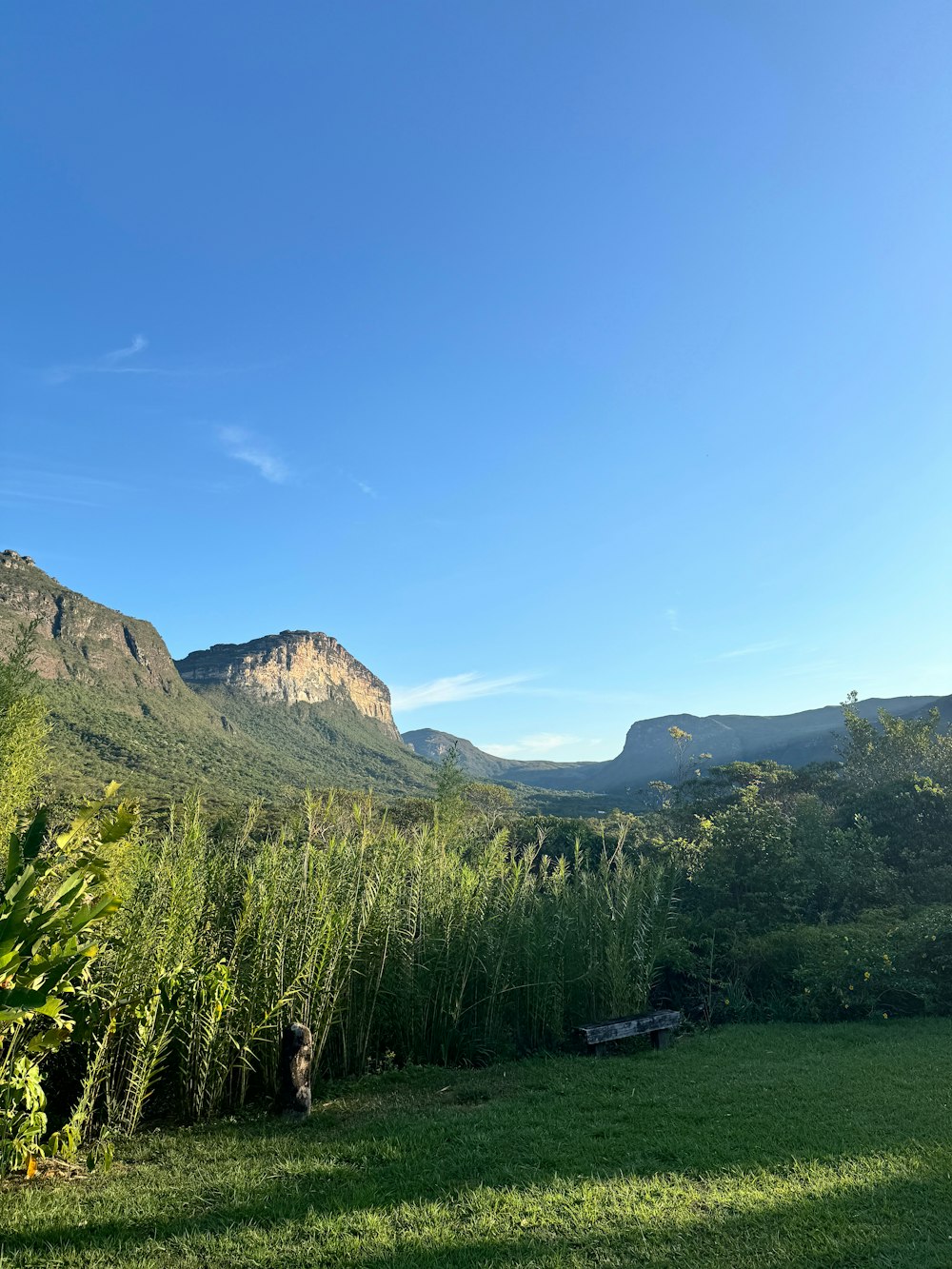 a lush green field with mountains in the background