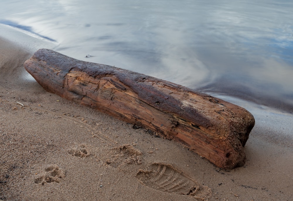 a log laying on a beach next to a body of water