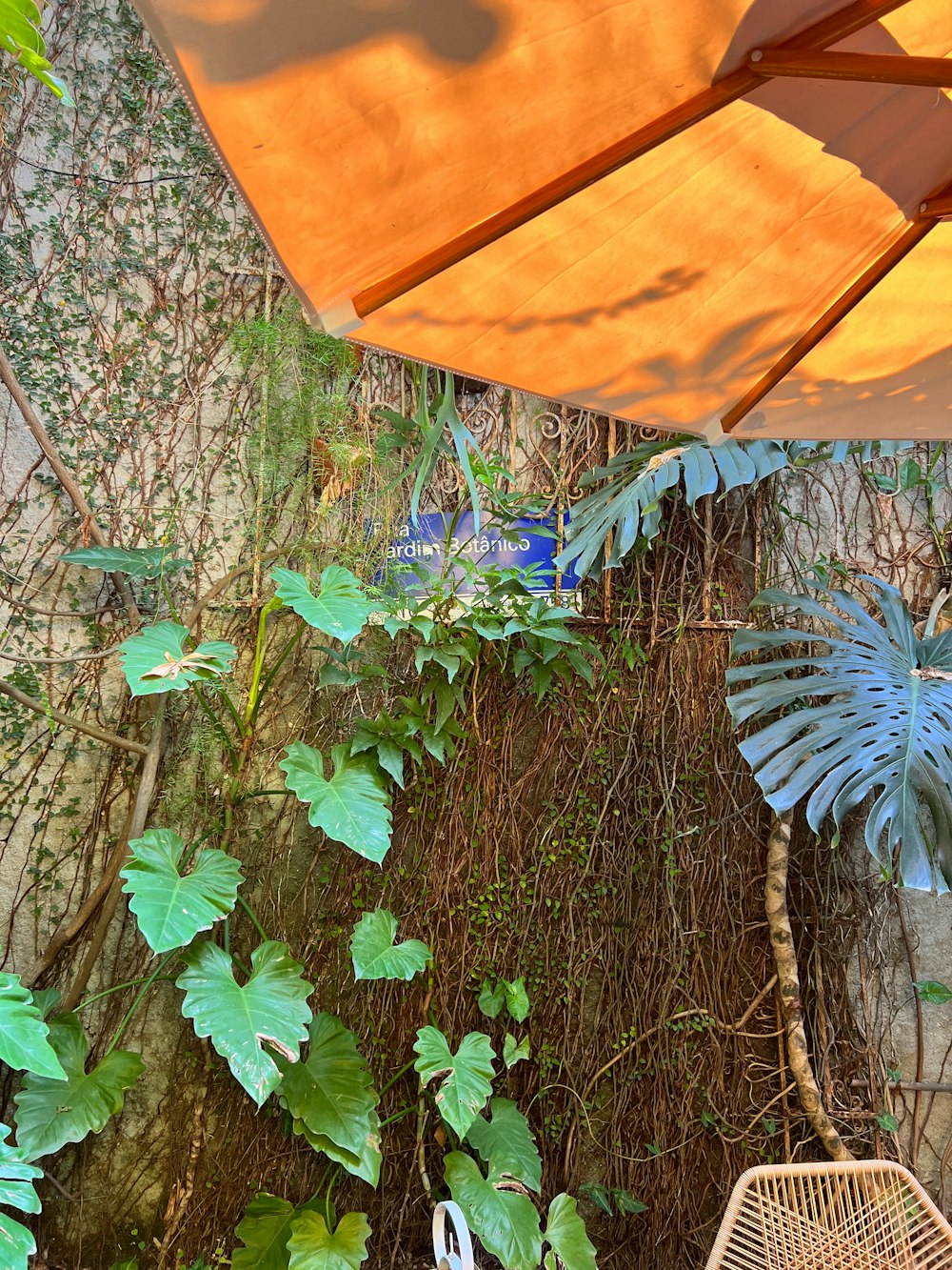 un patio con una sedia e un ombrellone accanto a un albero