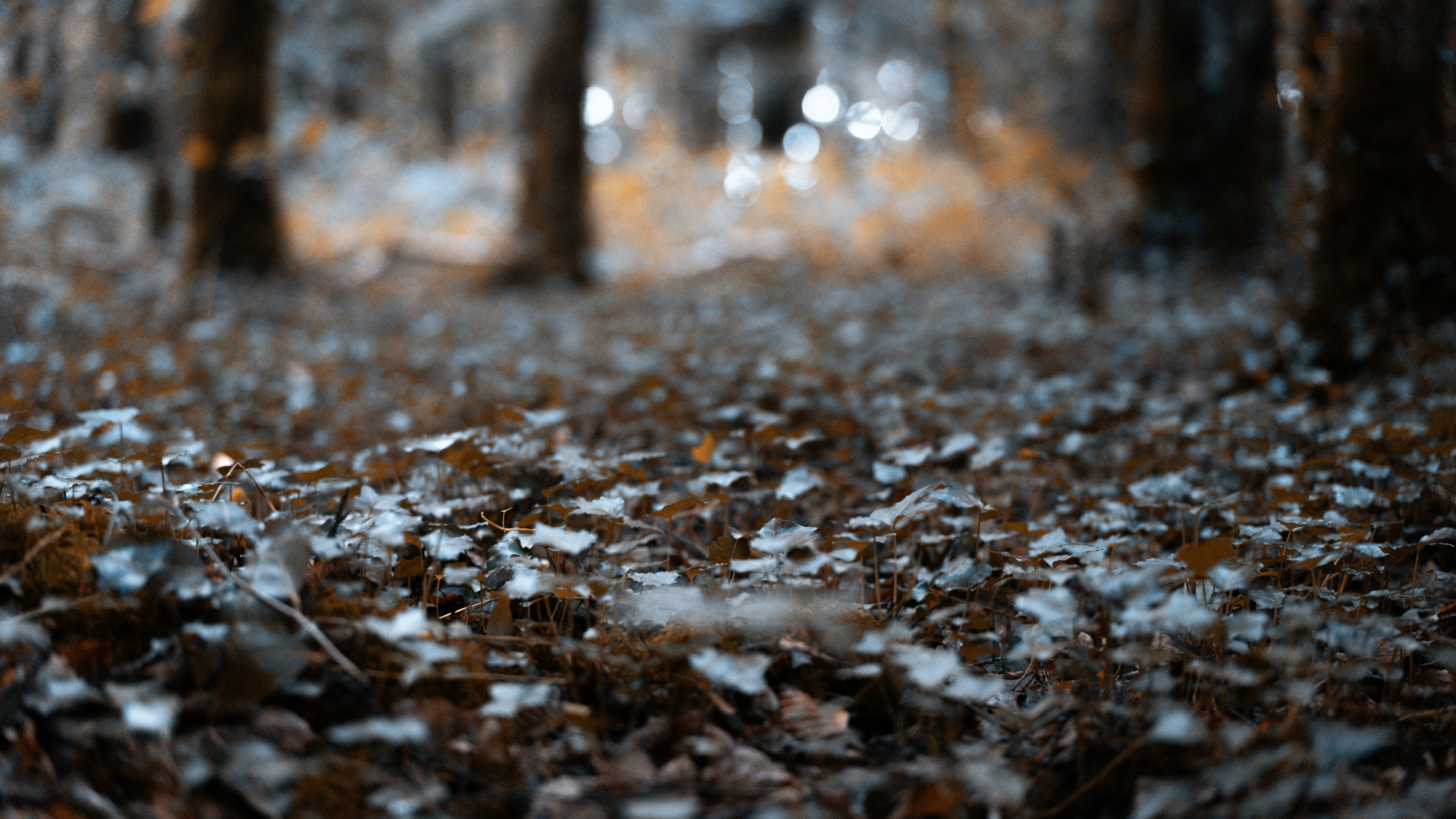 Photo by paulkennymcgrath