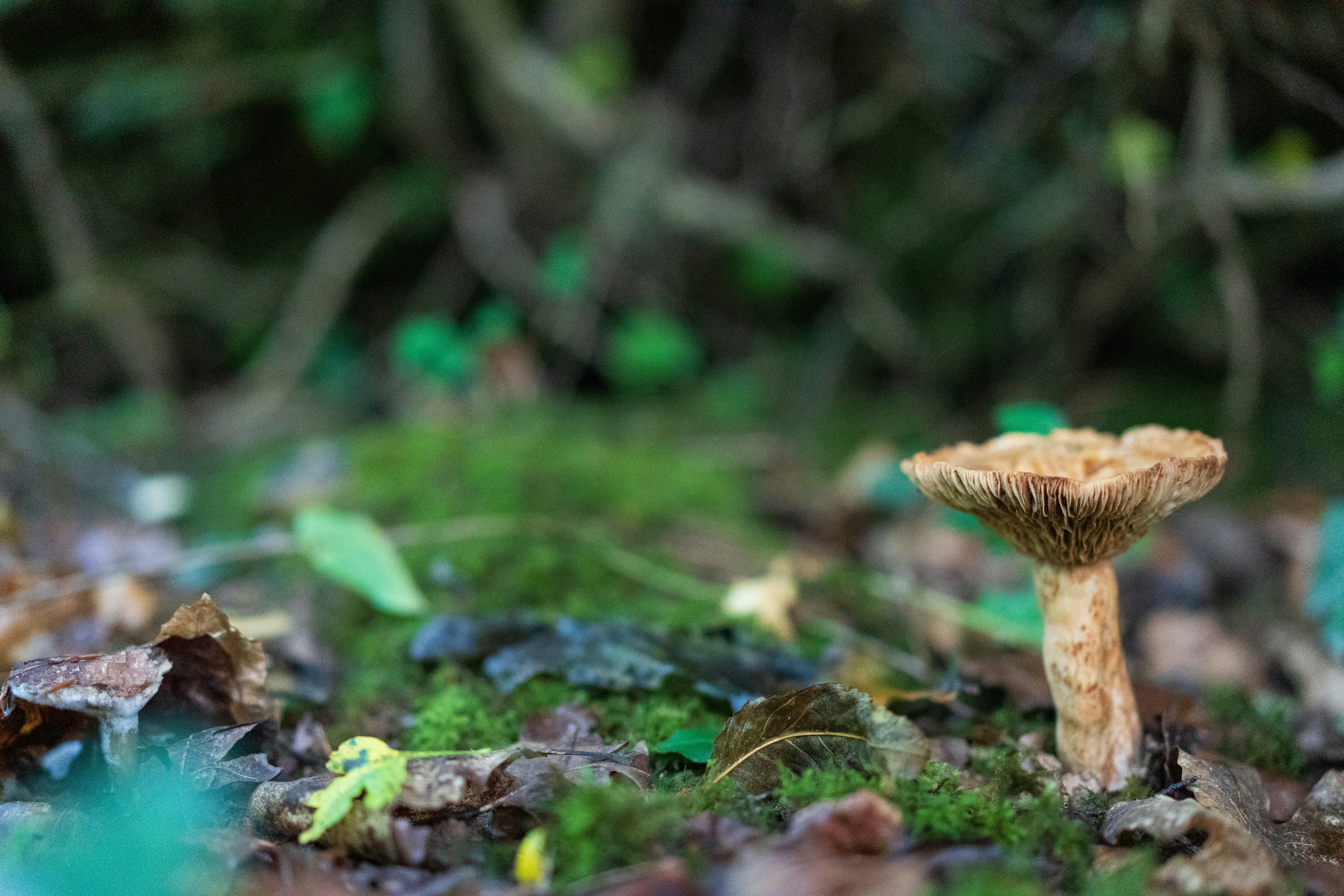 Photo by paulkennymcgrath