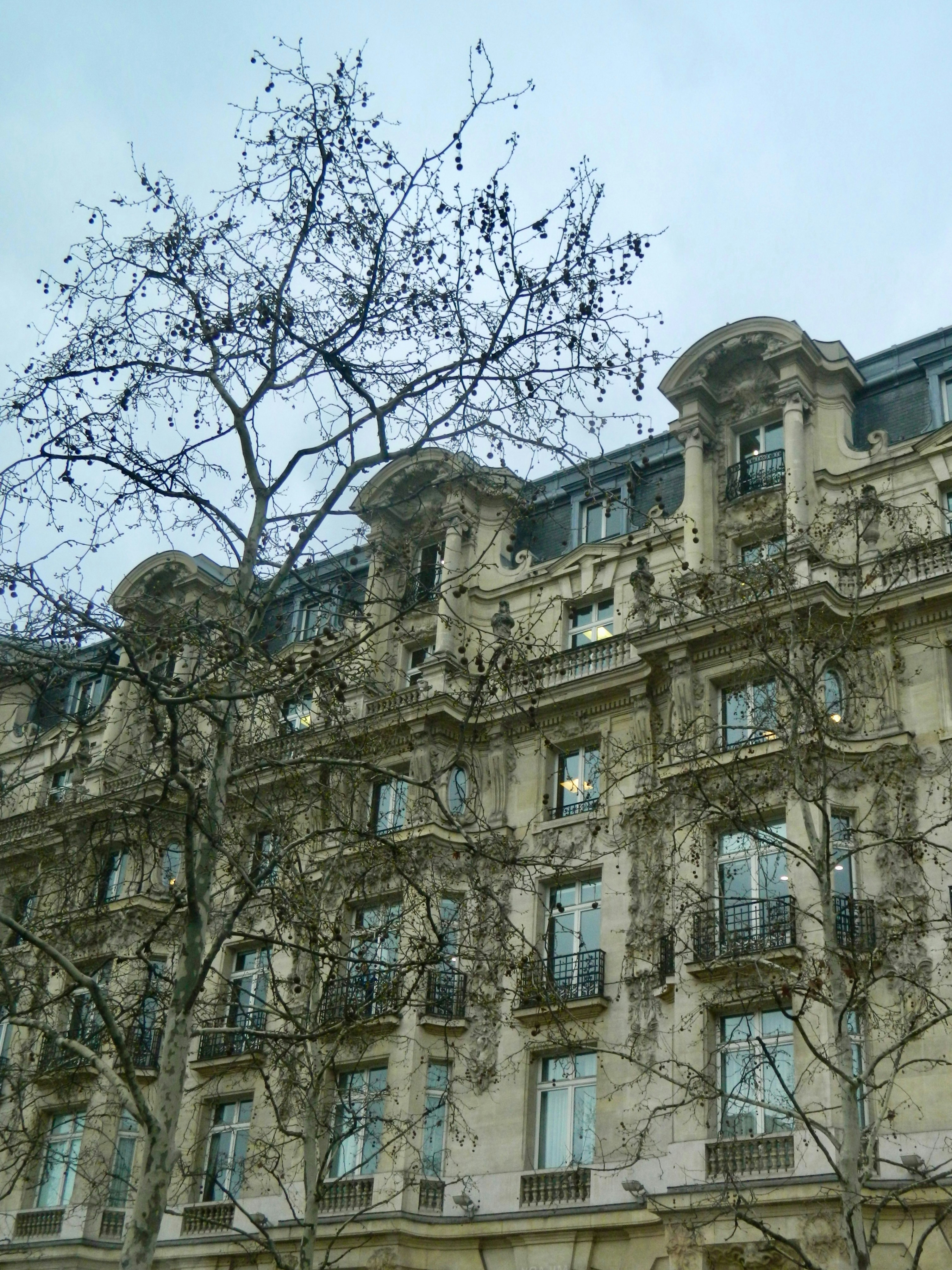 grey balcony wallpaper, wallpaper, Grey Balcony Ideas: Pet-Friendly Outdoor Spaces 3