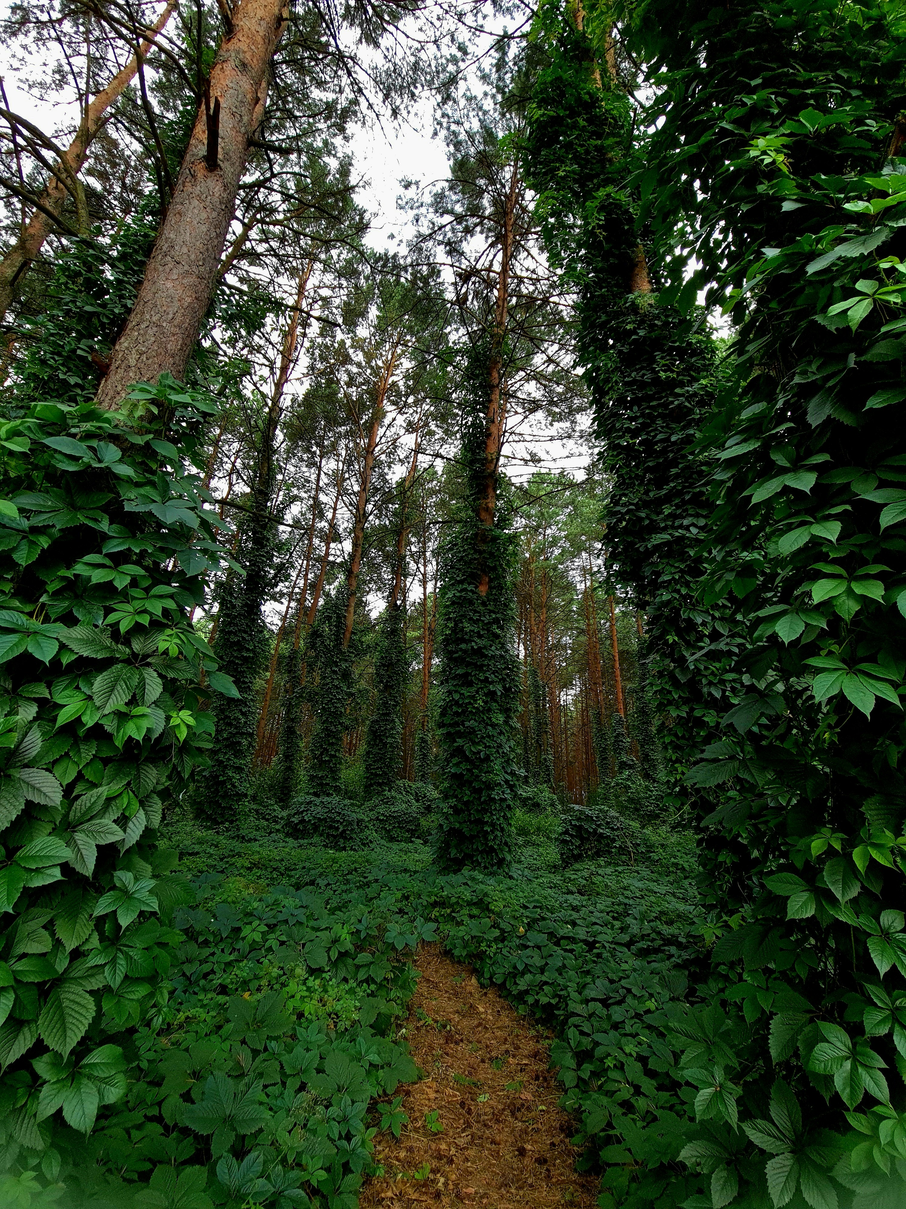 Photo by alx_edelstein