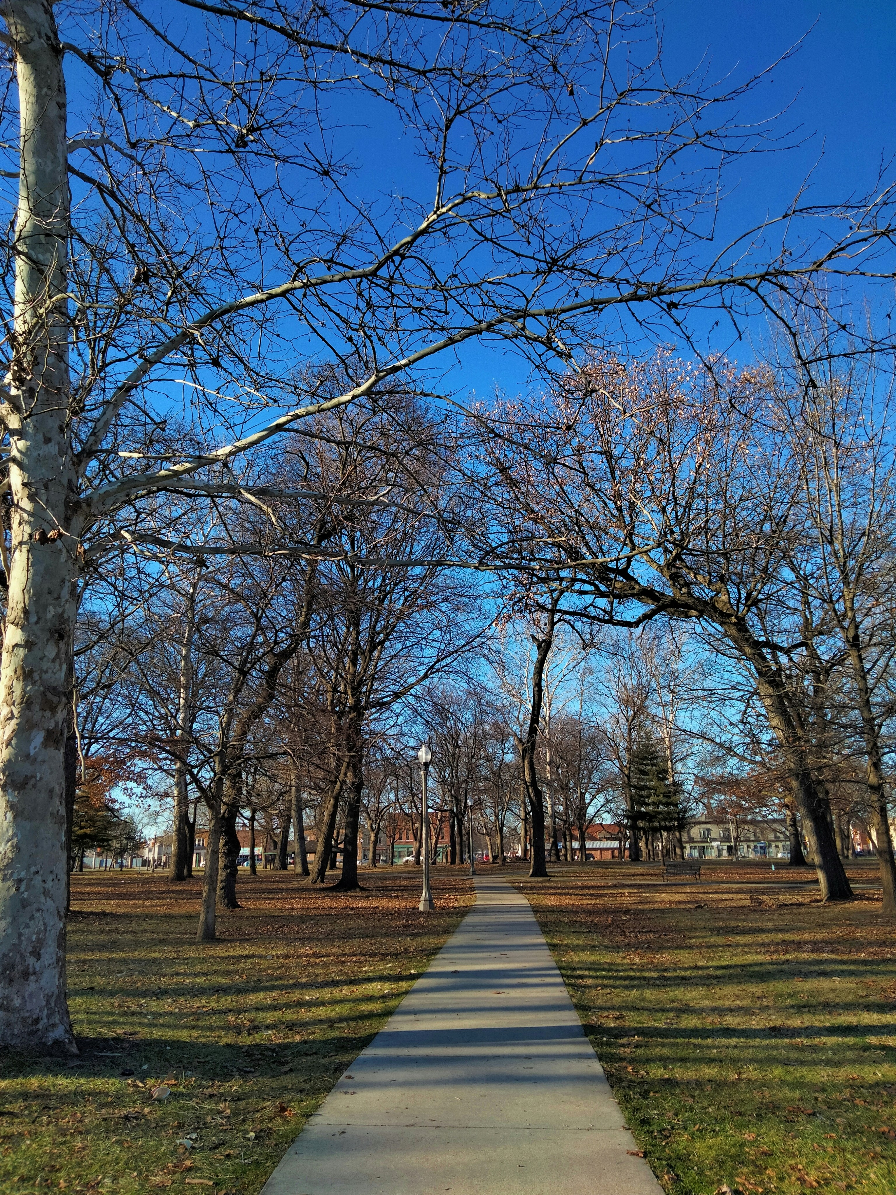 Photo by cinthia_teran