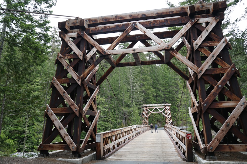 a wooden bridge in the middle of a forest