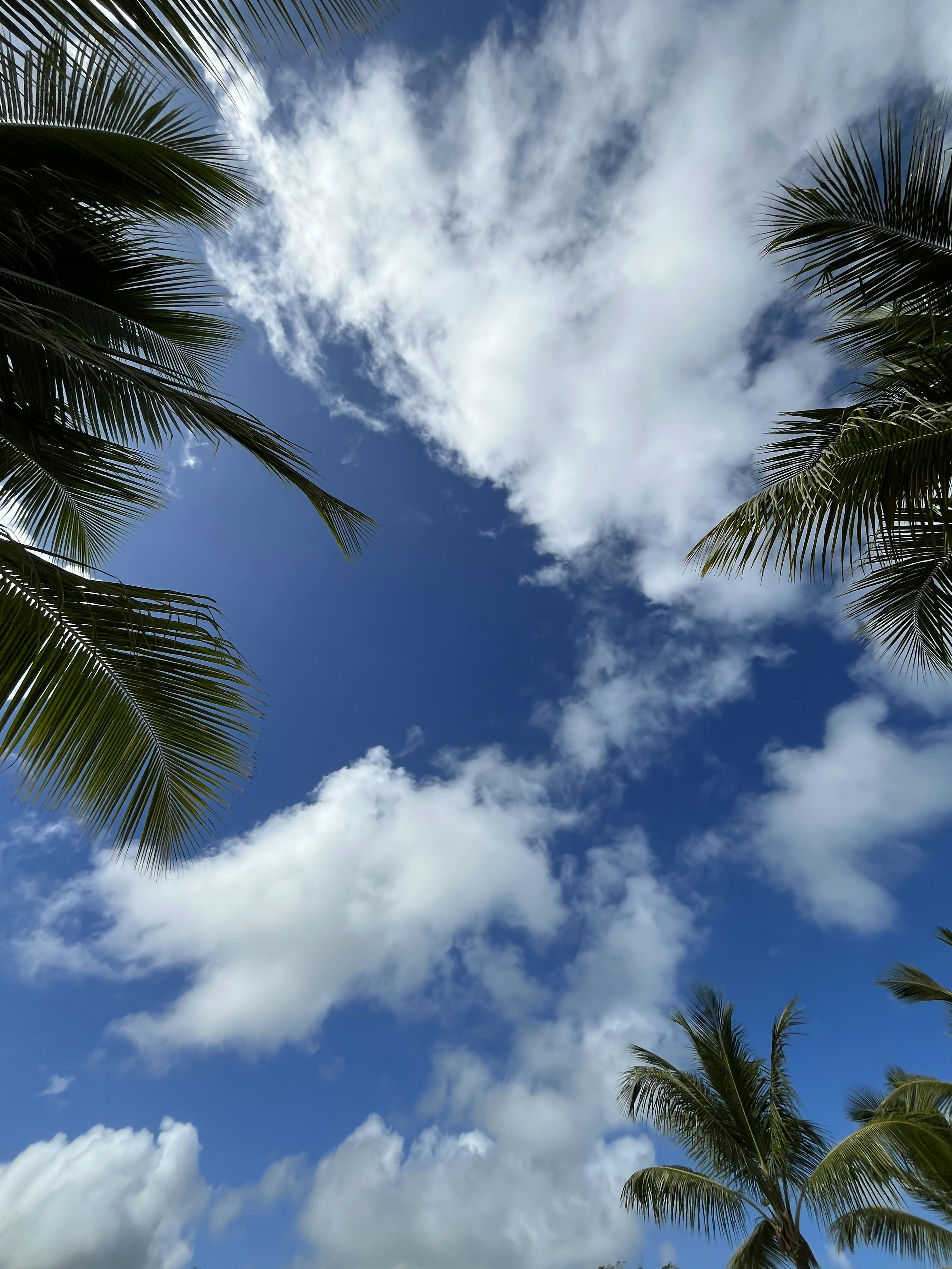 Photo by wilsonchen9864