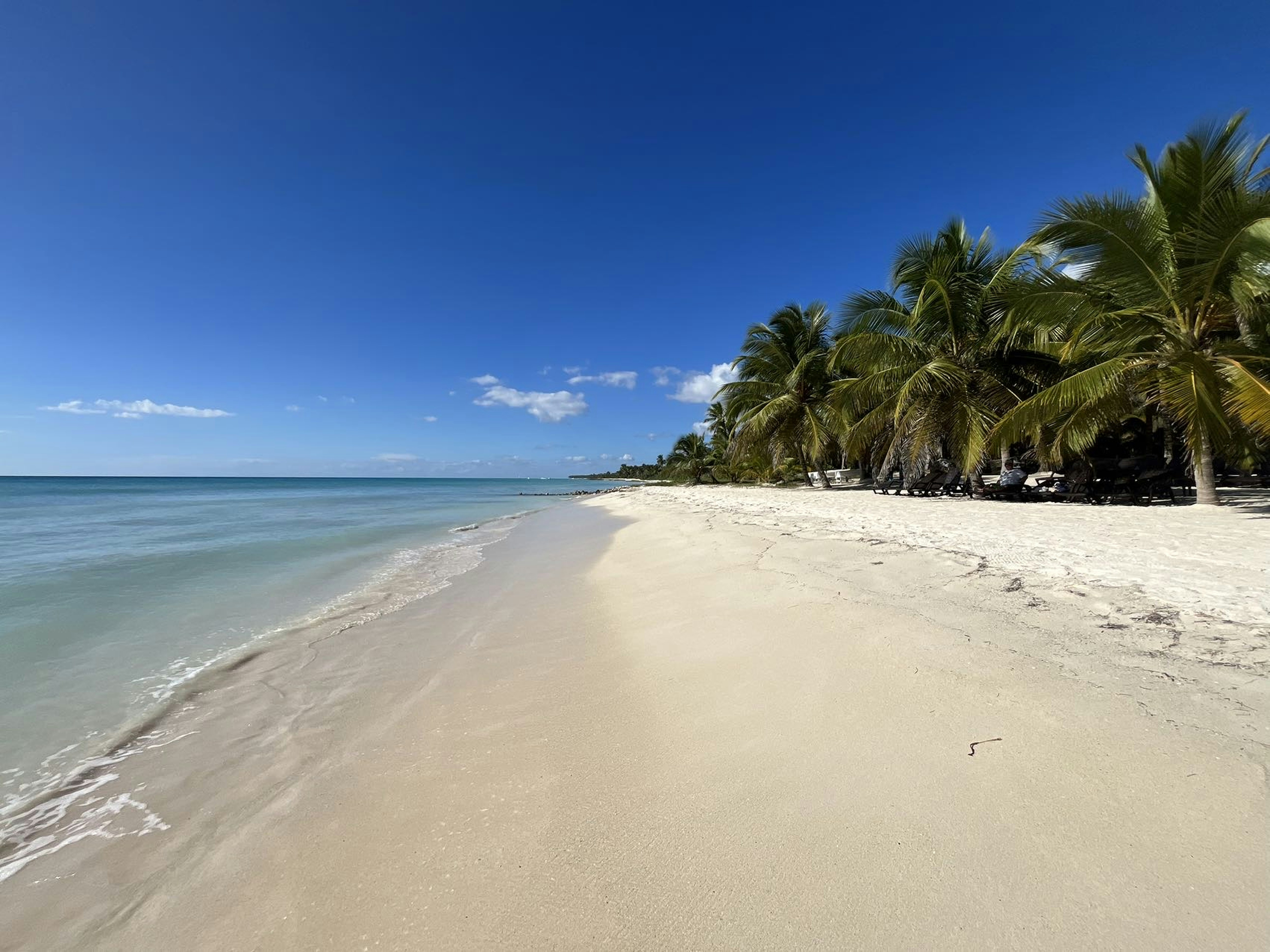 Photo by wilsonchen9864