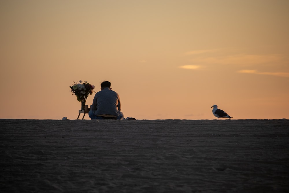 un uomo seduto su una spiaggia accanto a un uccello
