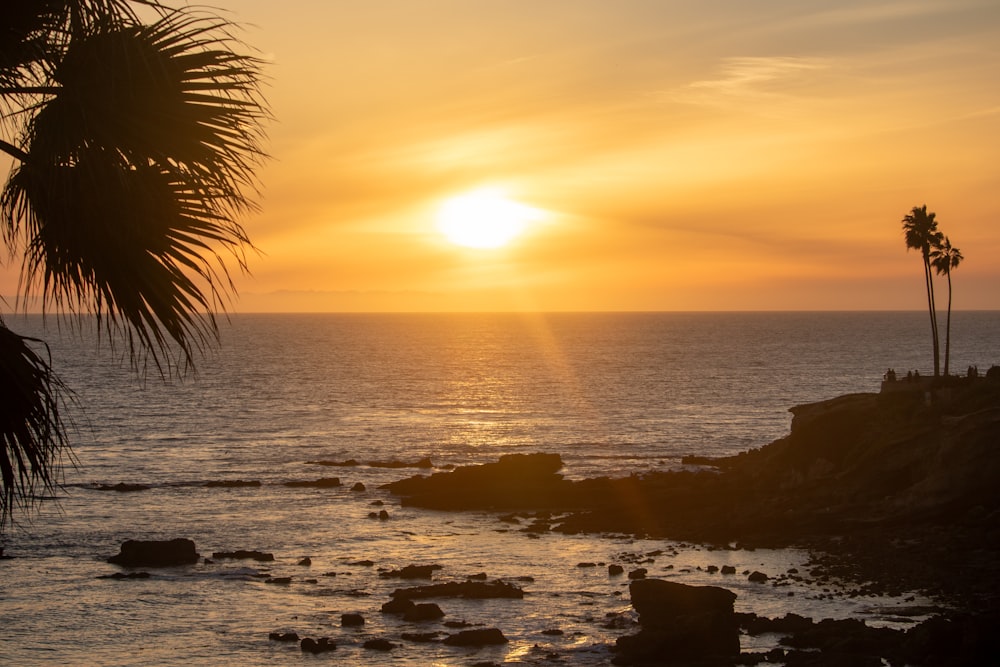 el sol se está poniendo sobre el océano con palmeras