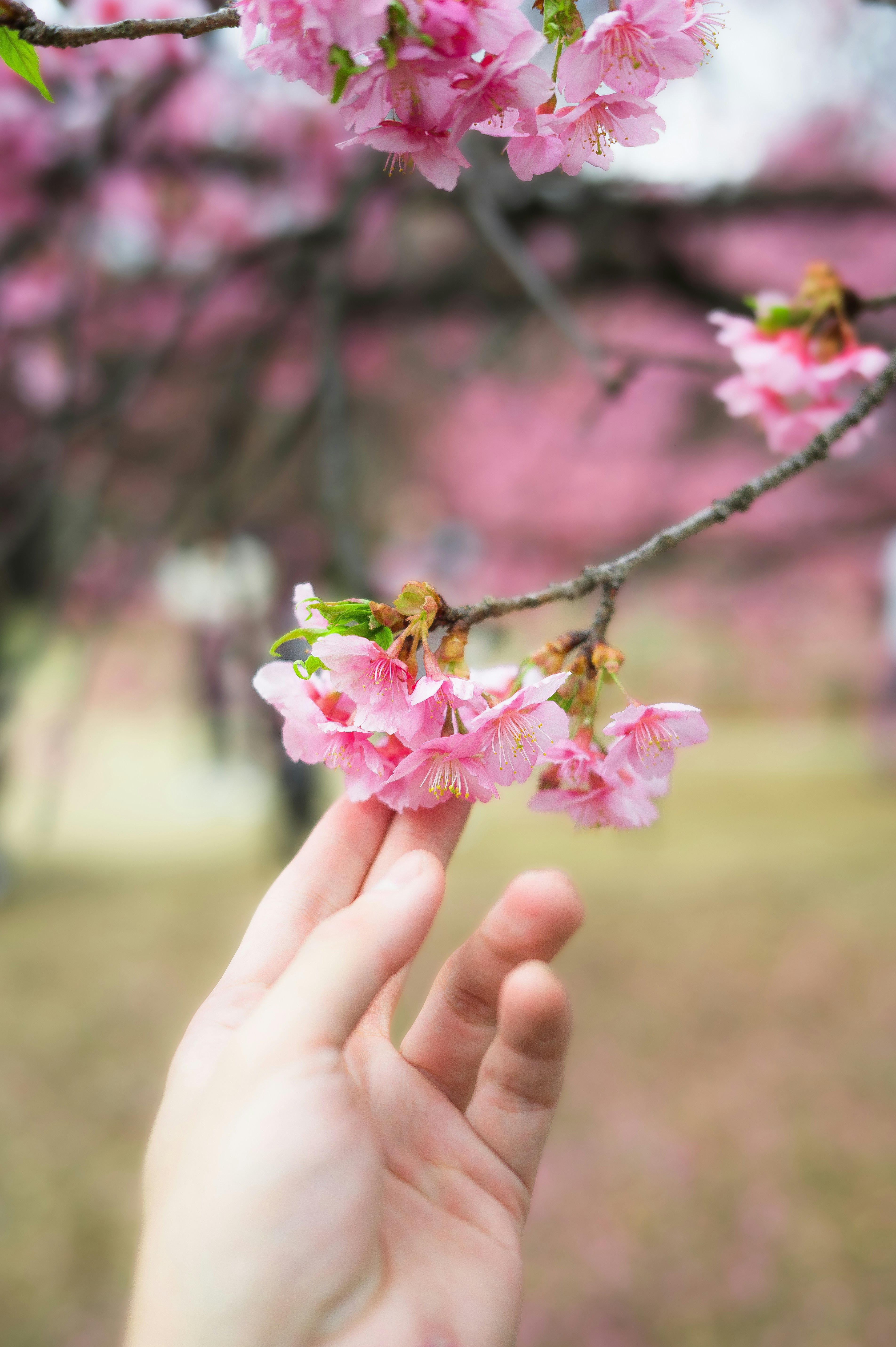 Photo by ryunosuke_kikuno