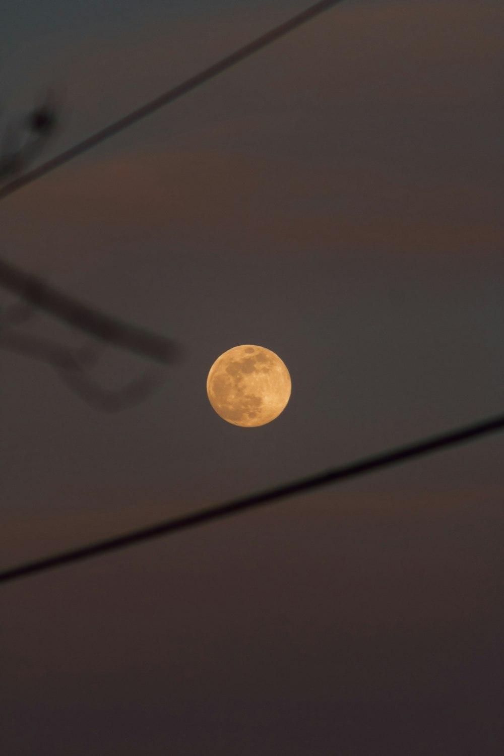 a full moon is seen through power lines