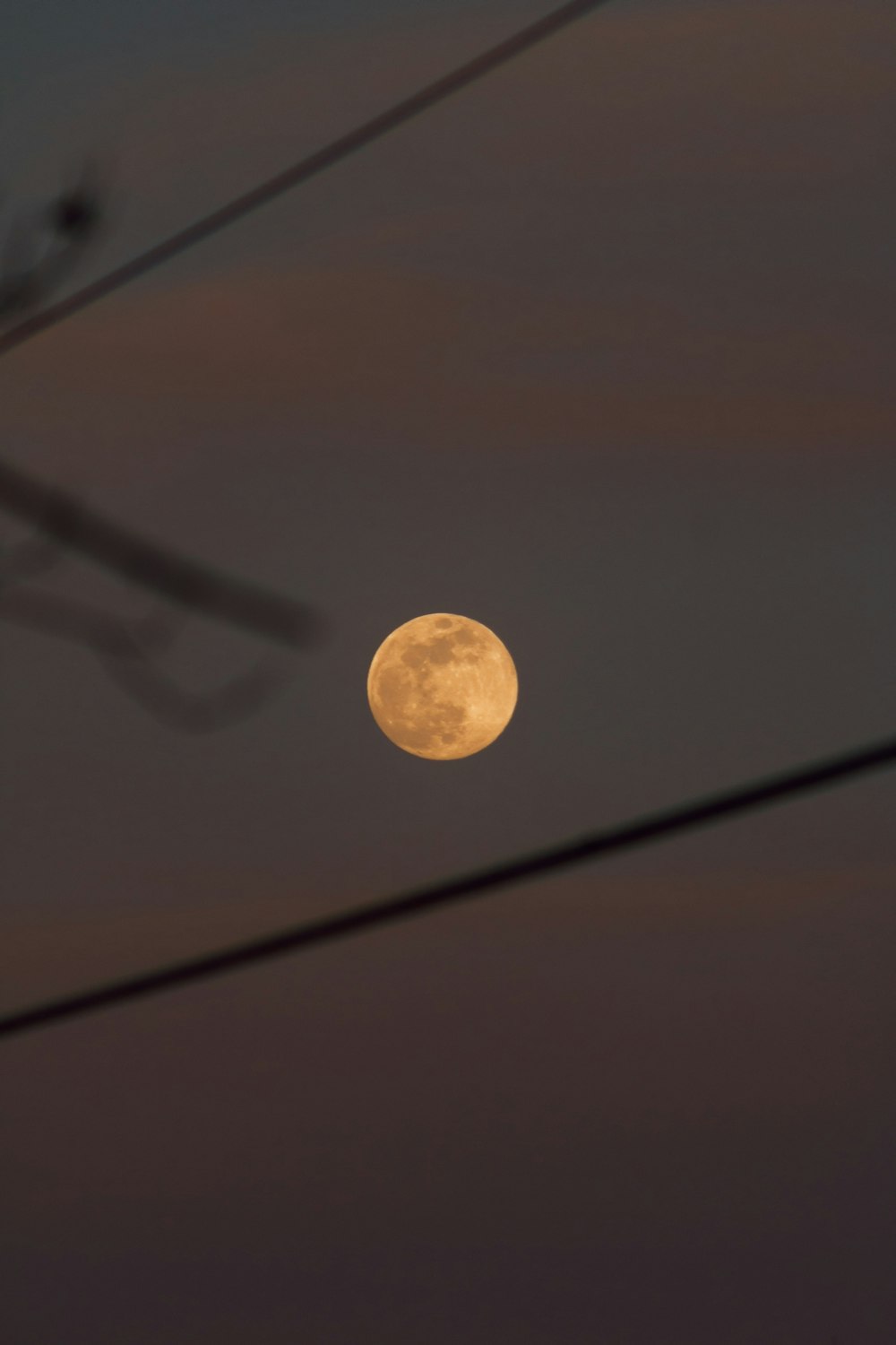 Une pleine lune est vue à travers les lignes électriques