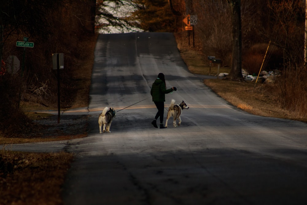 a person walking two dogs down a street