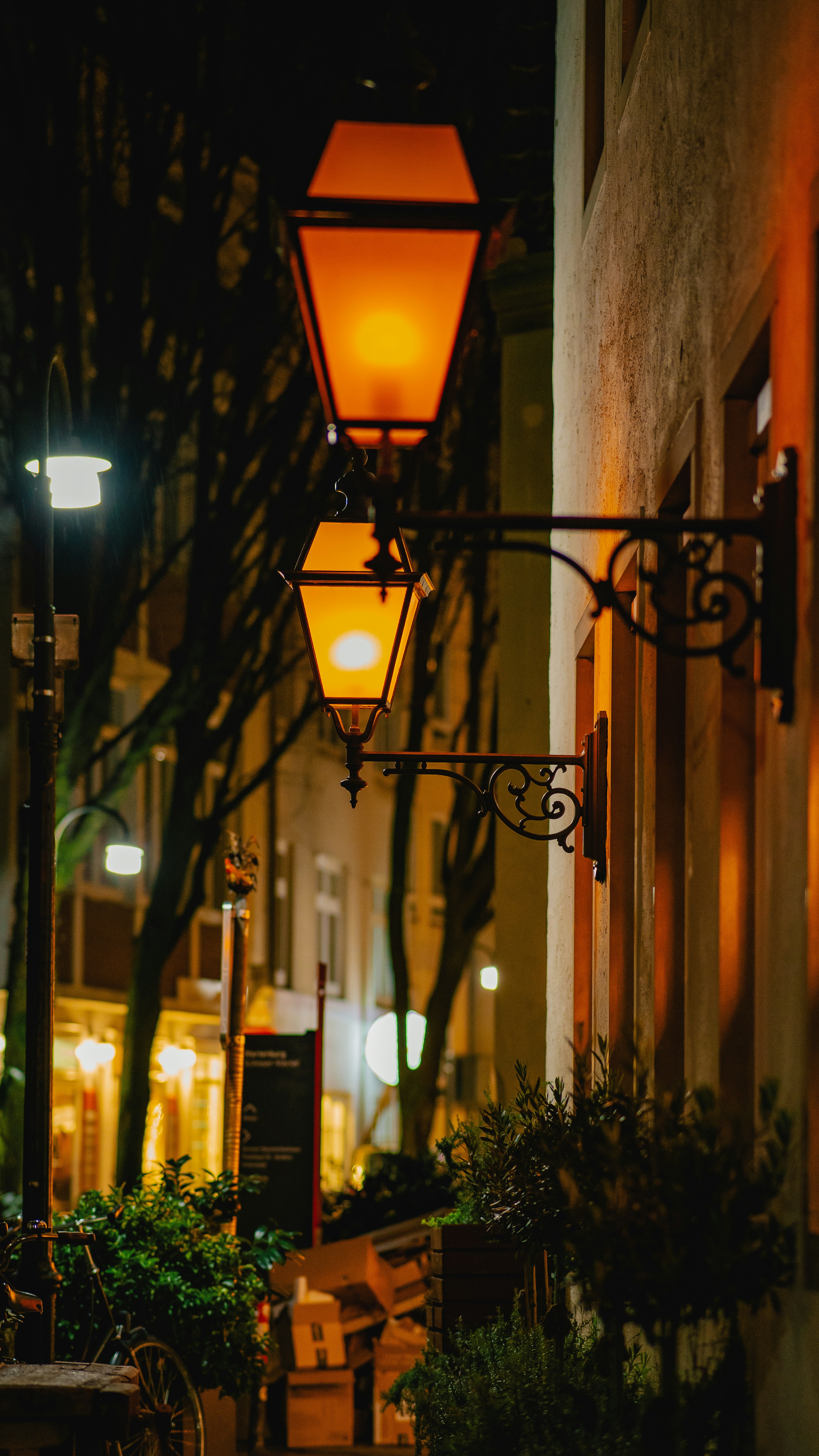 Photo by jahan_photobox