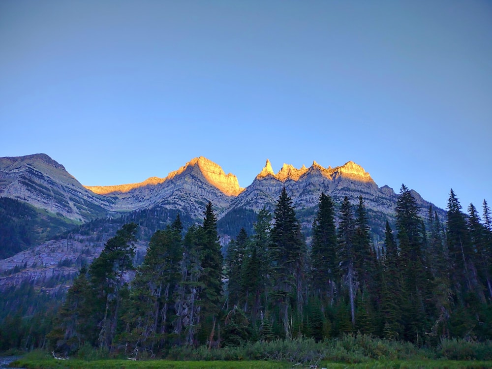 a mountain range with trees and a river in the foreground