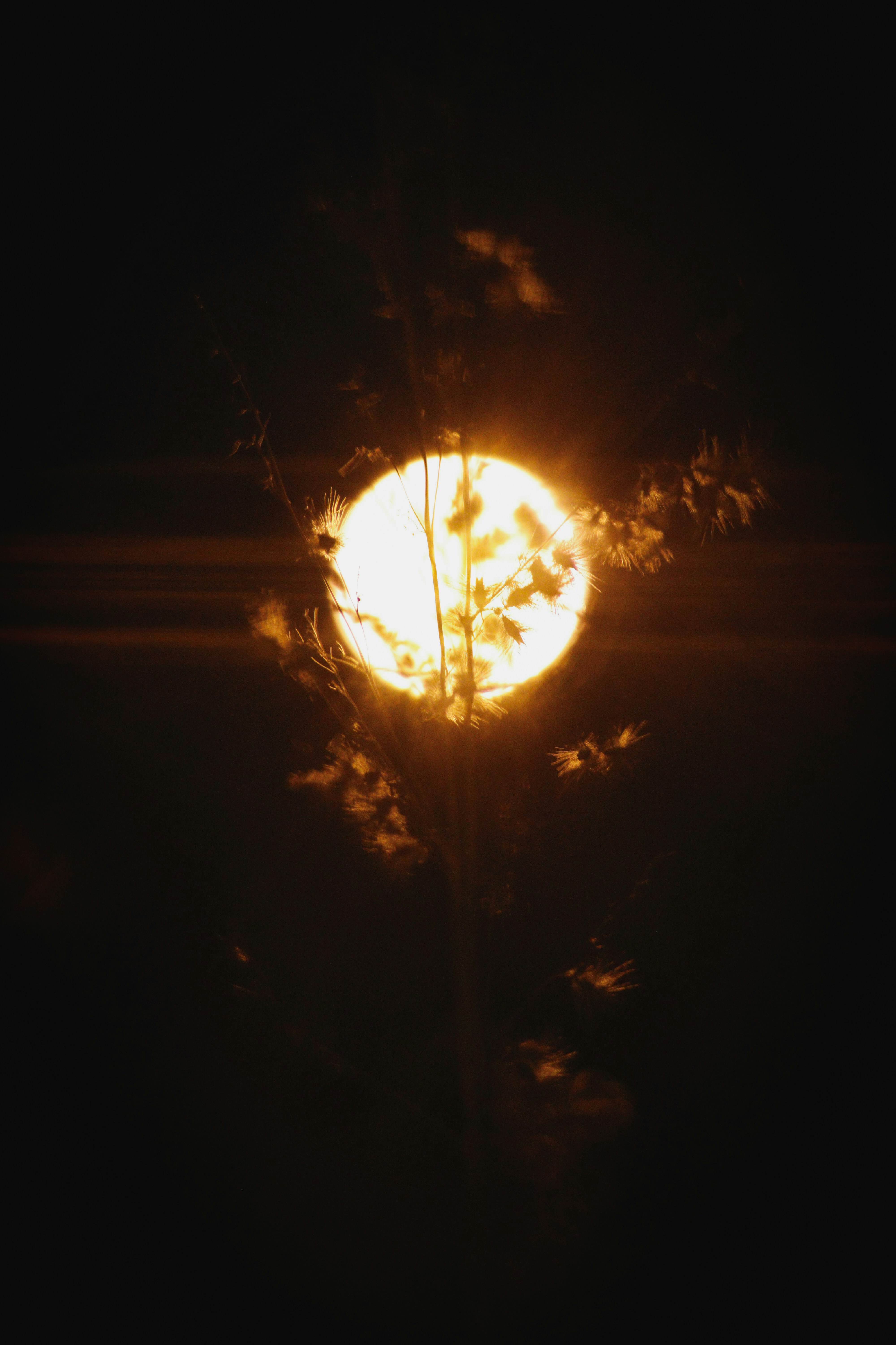 photo-1708743607421-491e891f531c?ixid=M3wxMjA3fDB8MXxzZWFyY2h8MTJ8fHNvbGFyc3RvcmV8ZW58MHx8fHwxNzYxMDU3MjA1fDA\u0026ixlib=rb-4.1.0