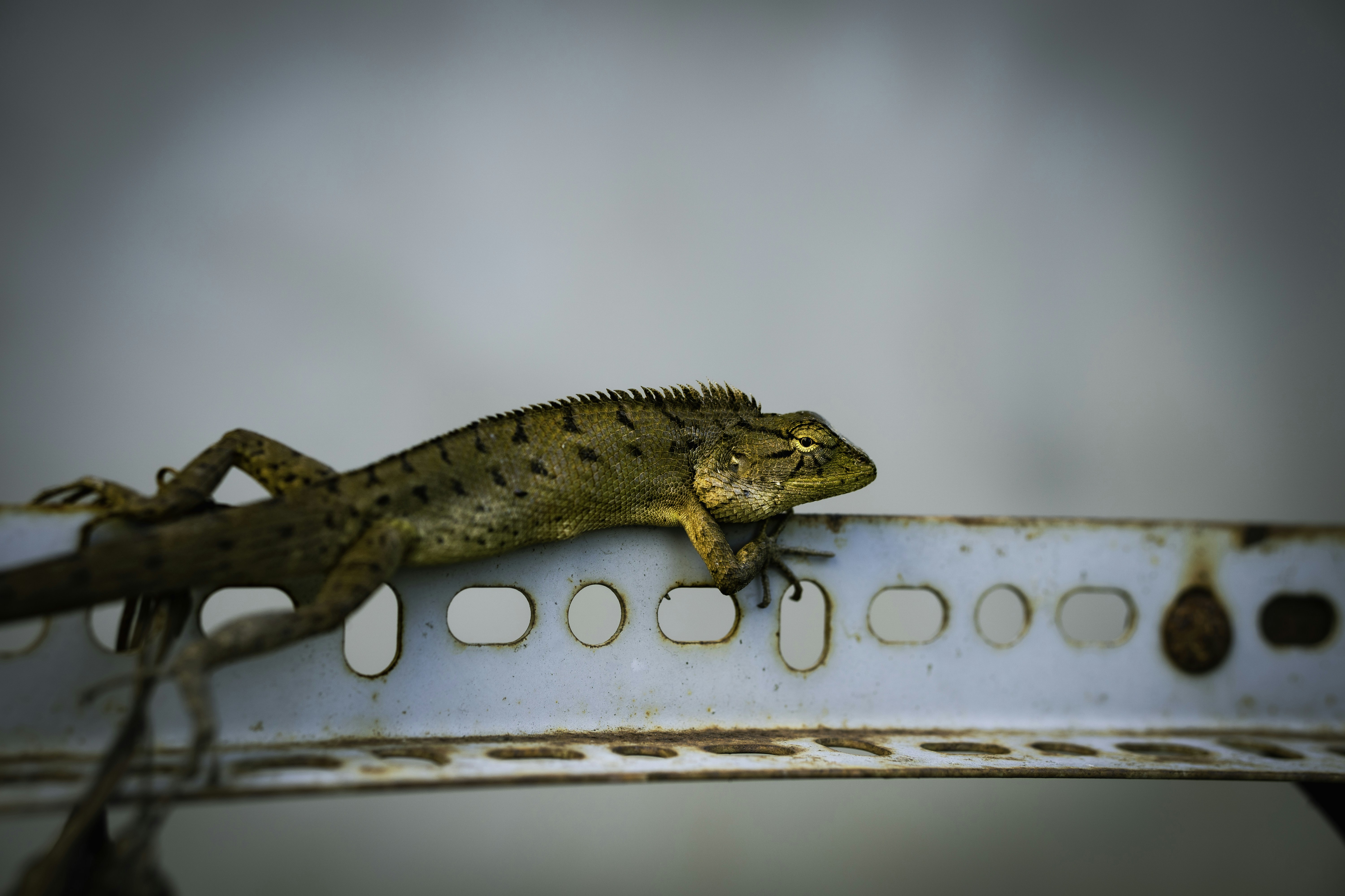 Biệt thự hiện đại minh họa cho thị trường cho thuê biệt thự tại Cần Thơ, Việt Nam