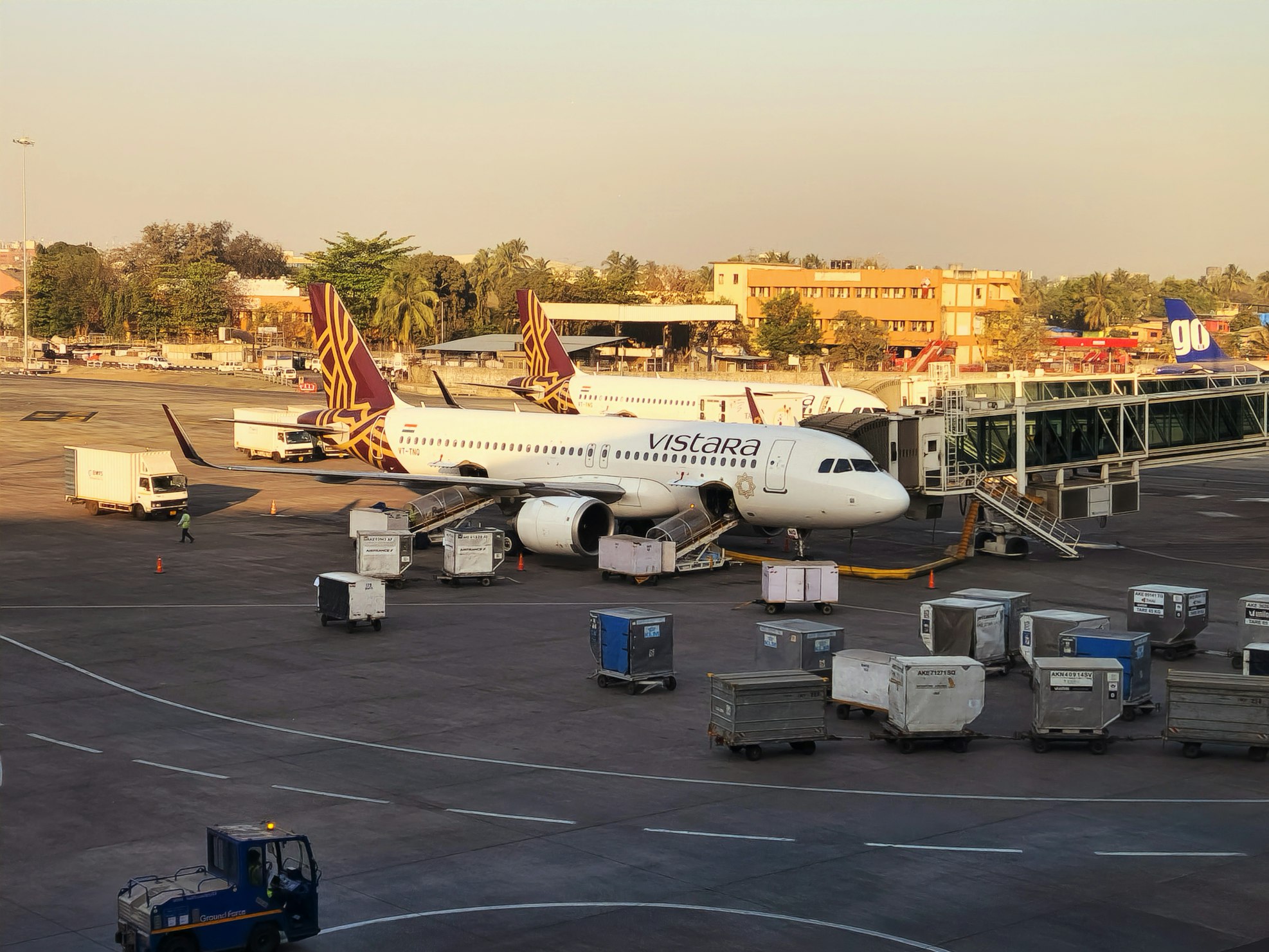 Vistara scaling back operations by 10 pc, expects to reach stablity in operation, says airlines