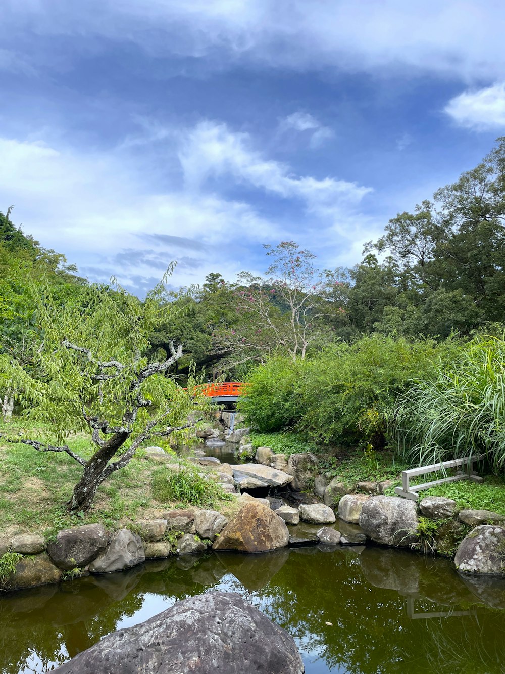 a small pond surrounded by rocks and trees