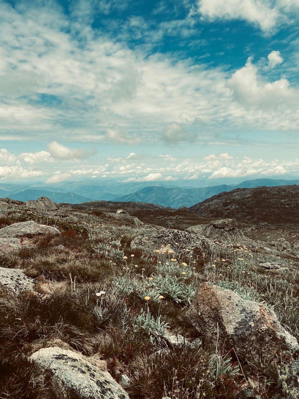 Una vista de una cadena montañosa con rocas y plantas