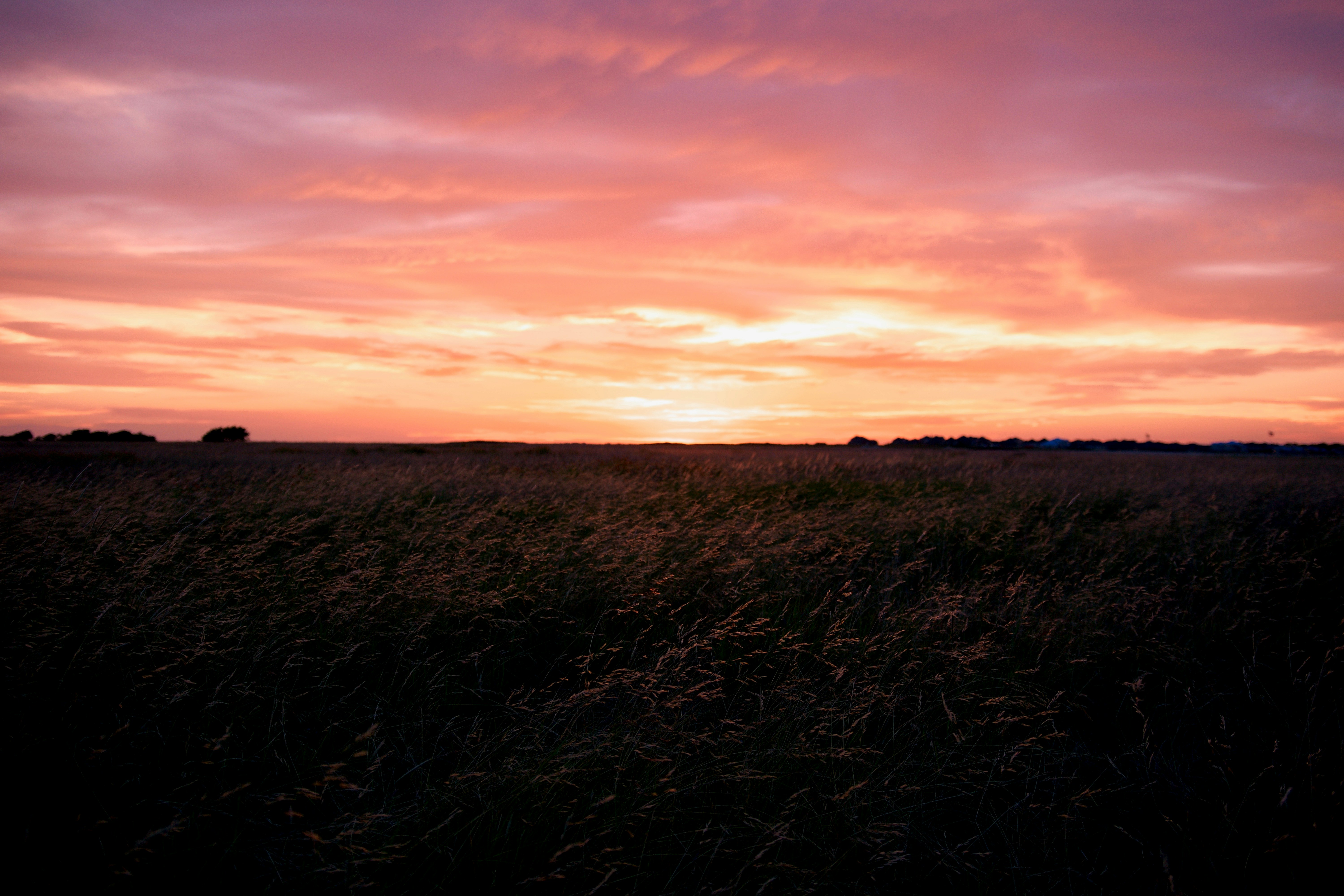 the sun is setting over a field of tall grass
