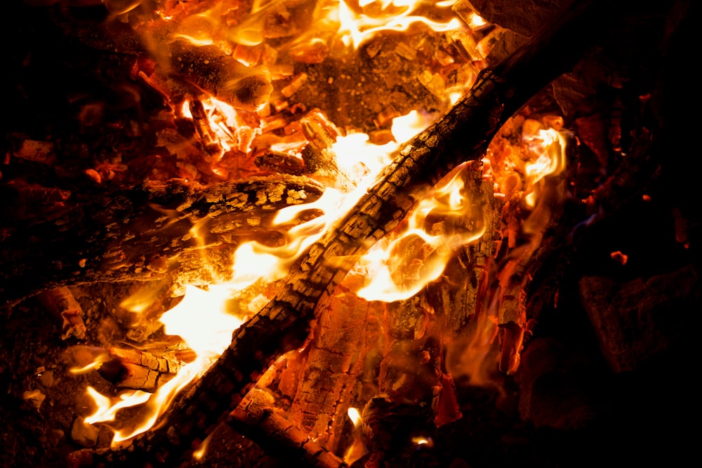 a close up of a fire with a stick sticking out of it