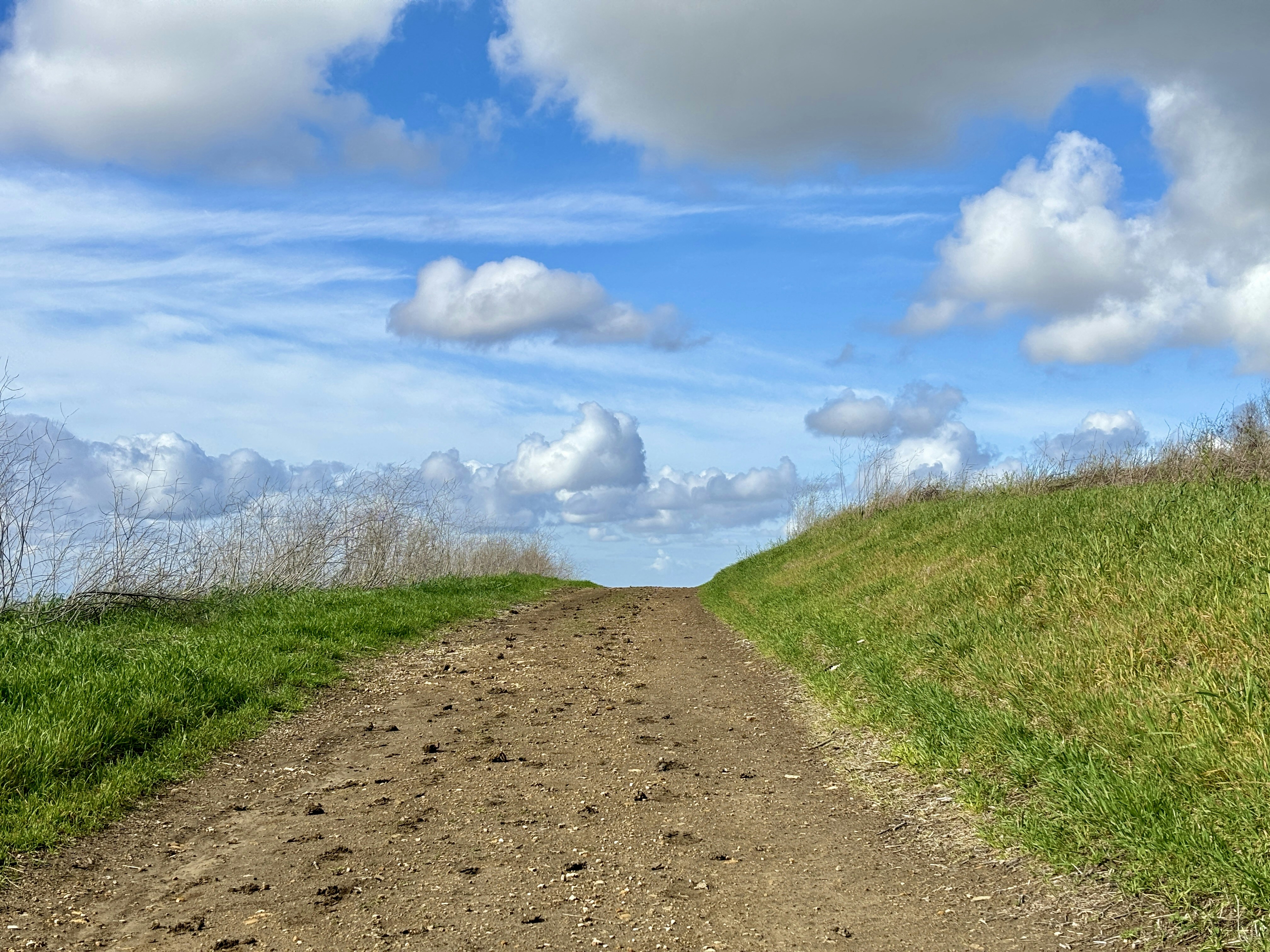 Photo by spencer_demera