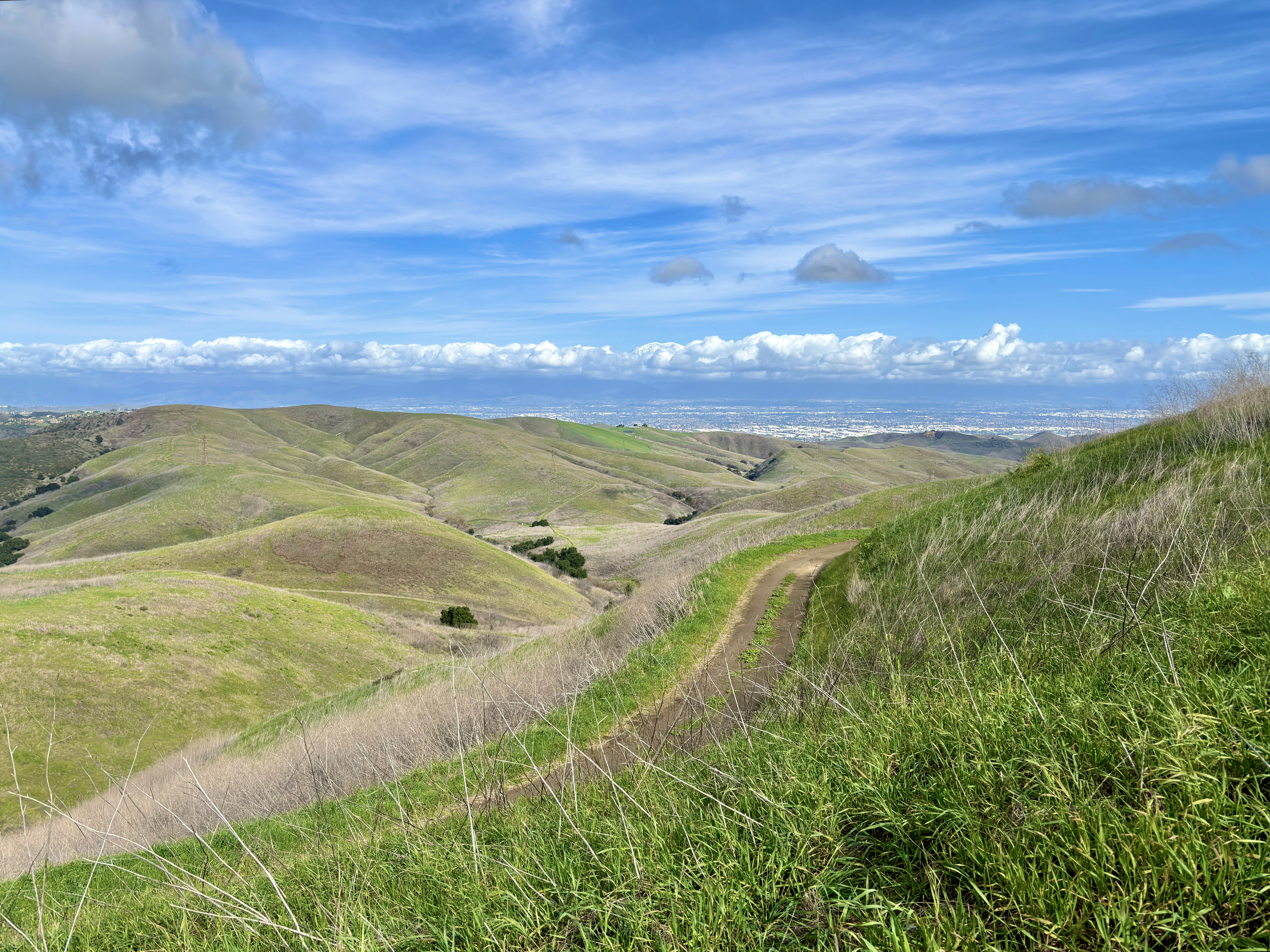 Photo by spencer_demera