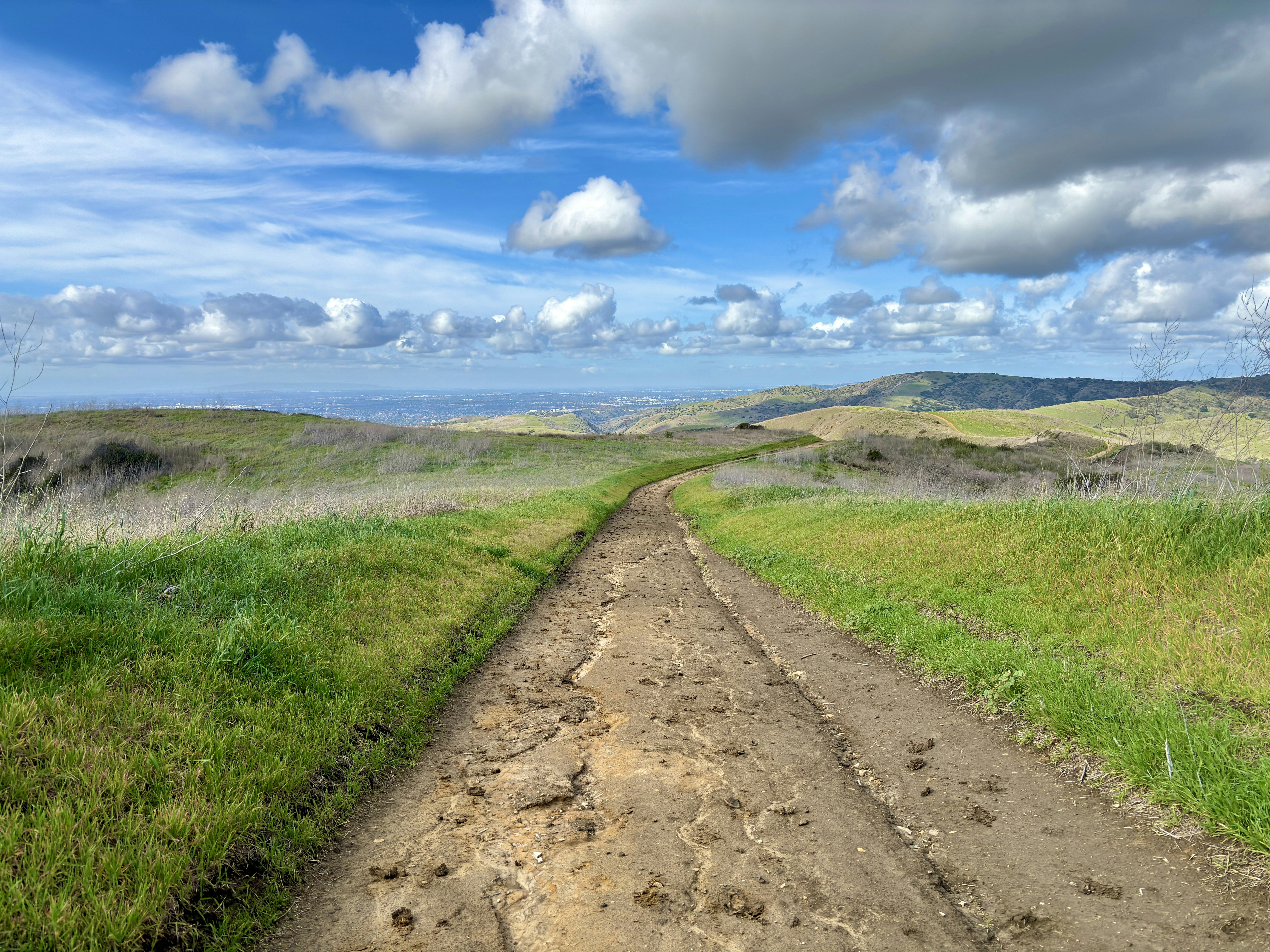 Photo by spencer_demera