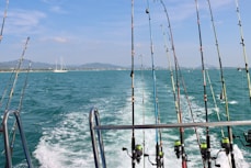 a bunch of fishing rods on a boat in the water