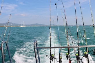 a bunch of fishing rods on a boat in the water