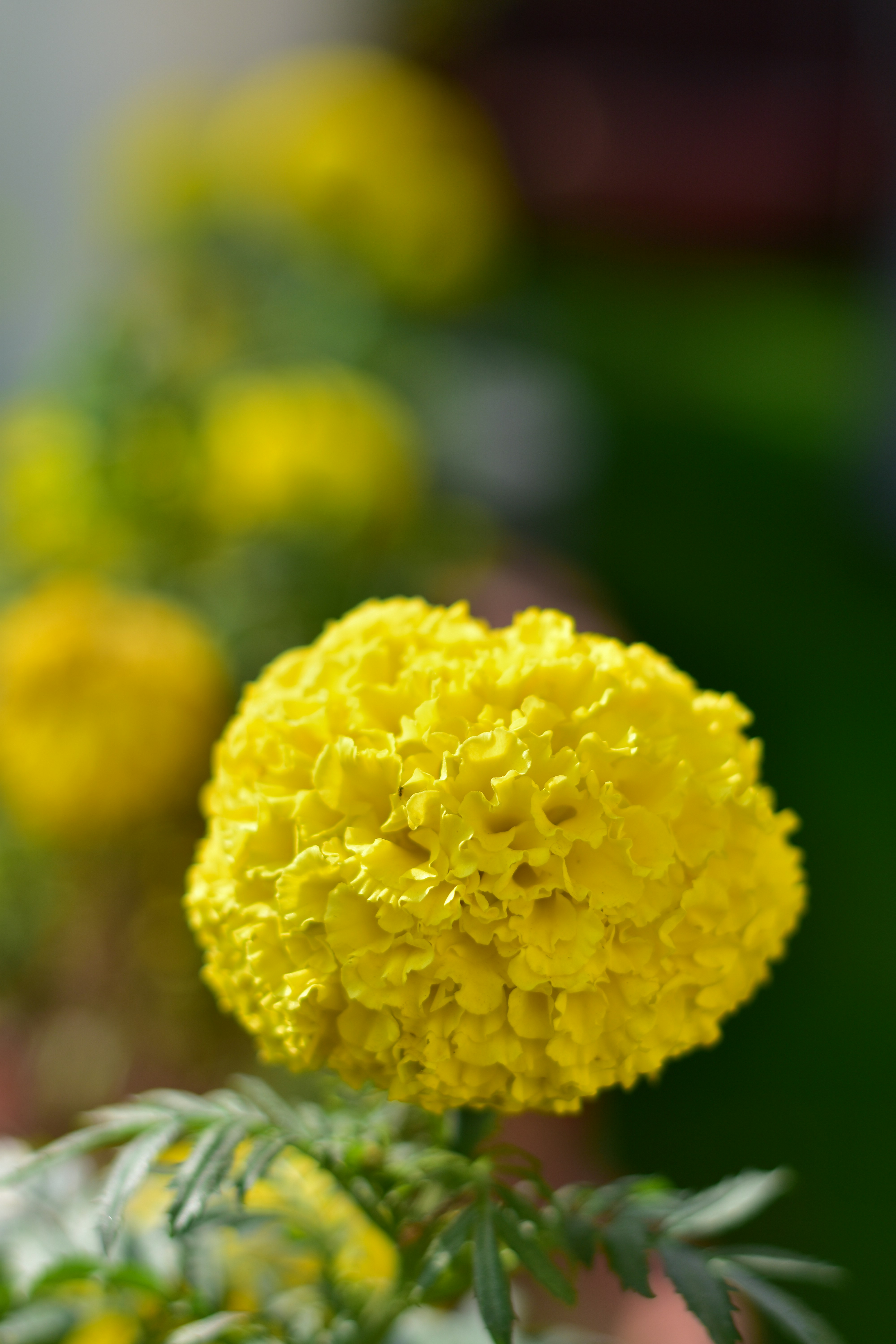 Photo by neelakshi_singh_