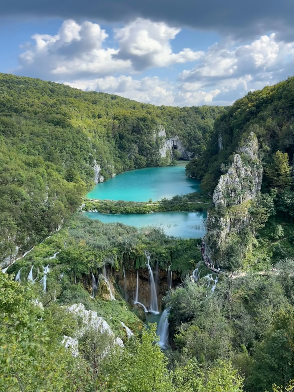 a large body of water surrounded by lush green trees