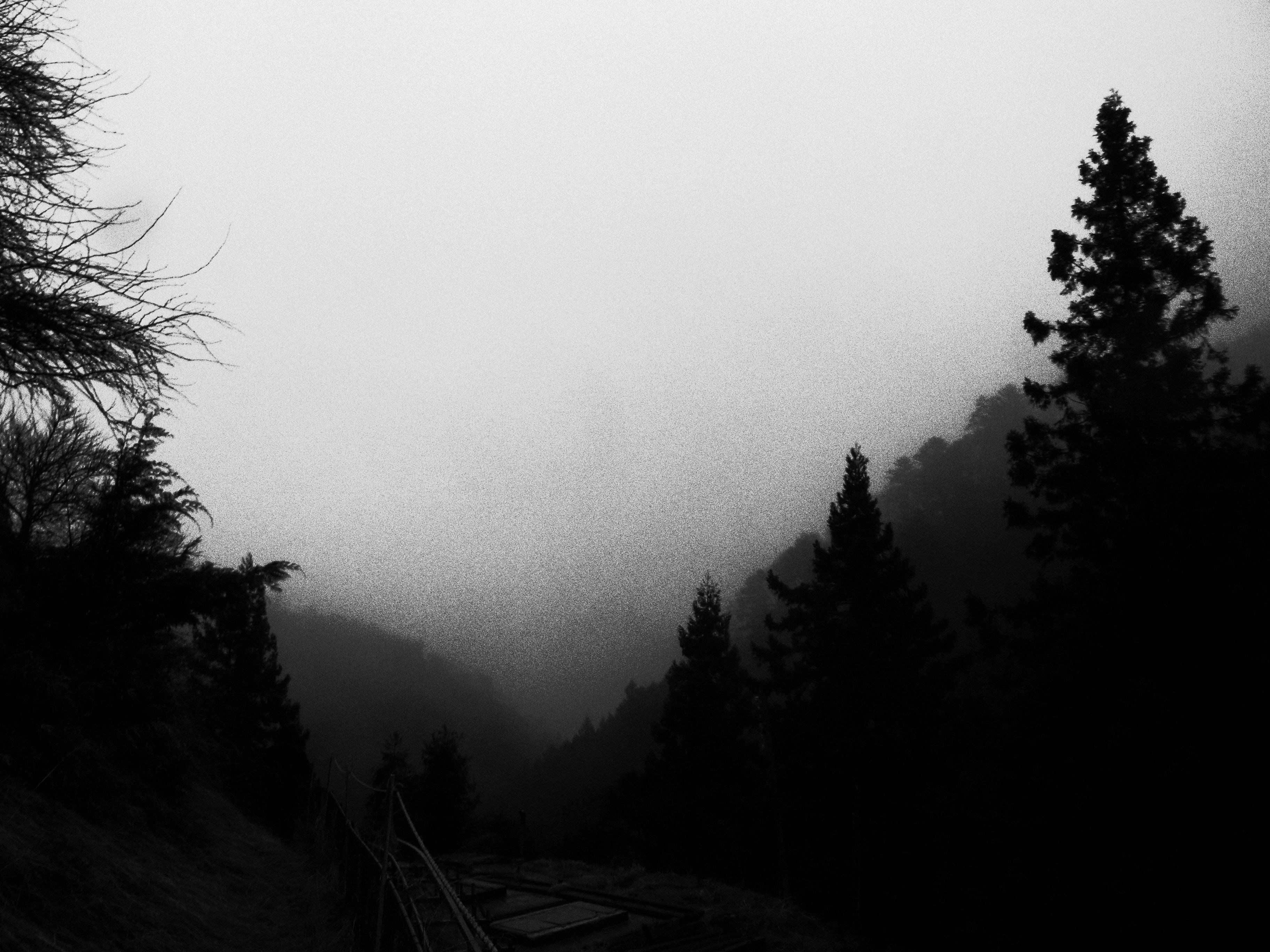 Photo by kojikithekid