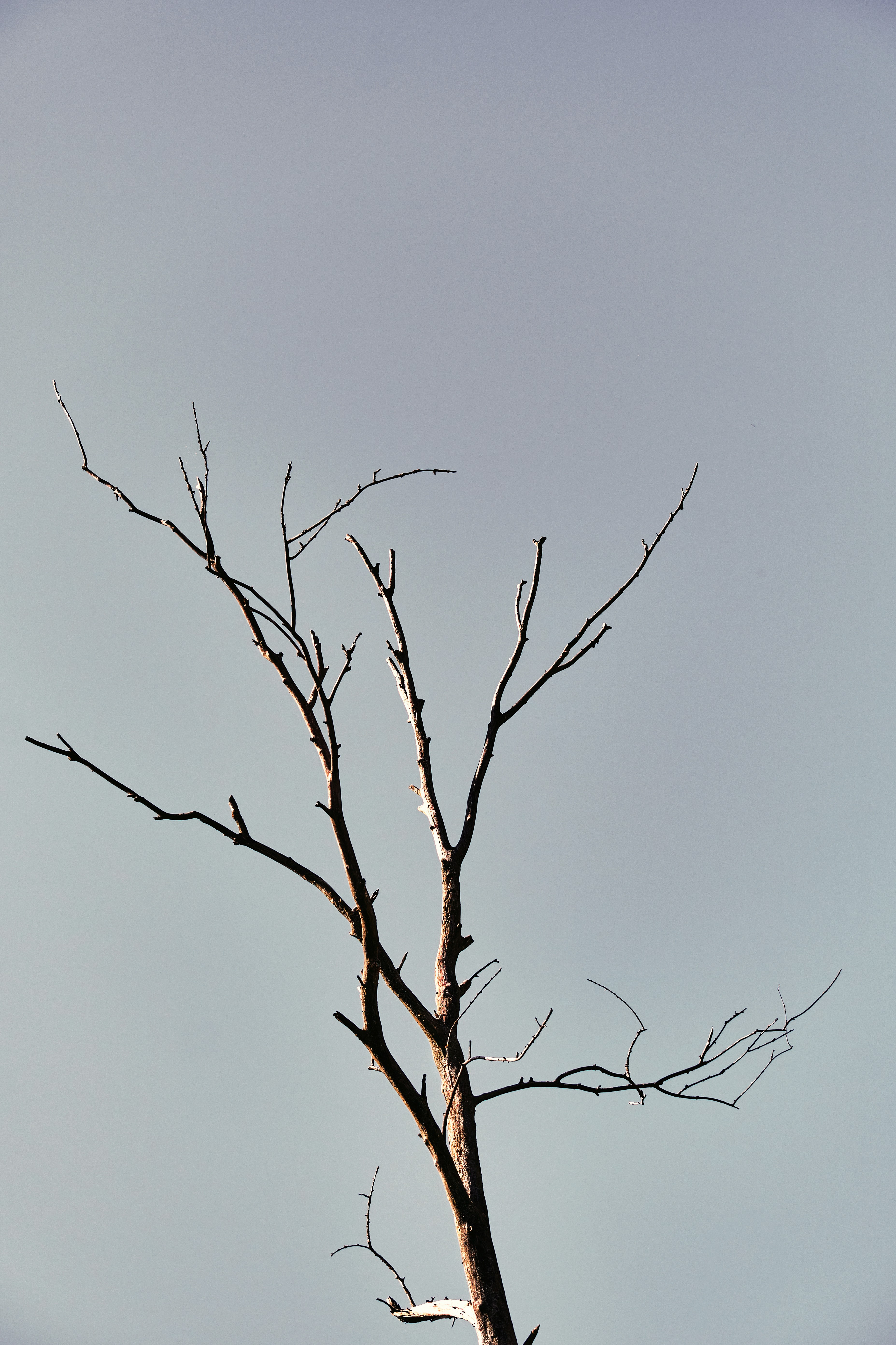 Photo by marcus_ganahl