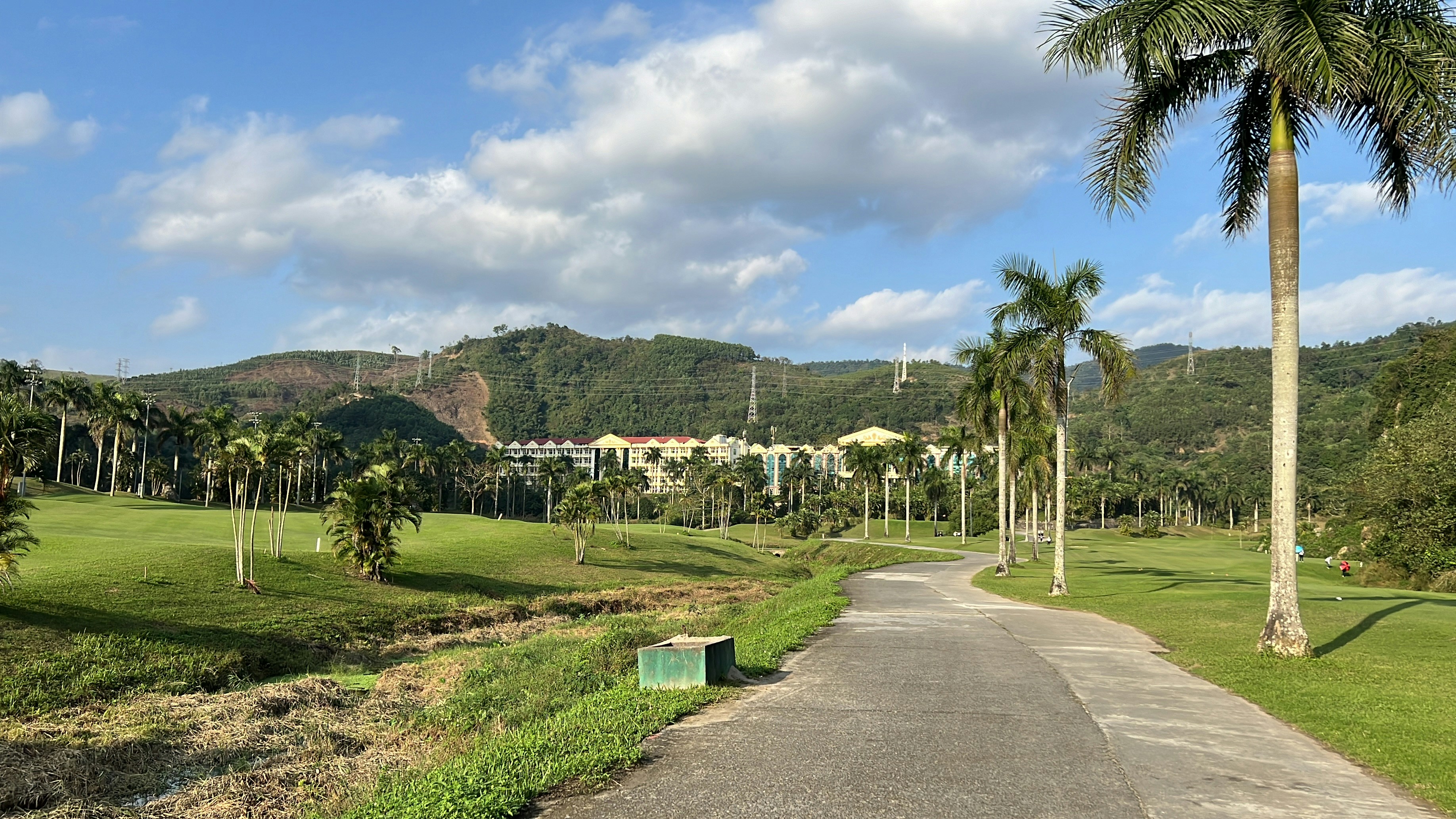 a view of a golf course with palm trees in the foreground