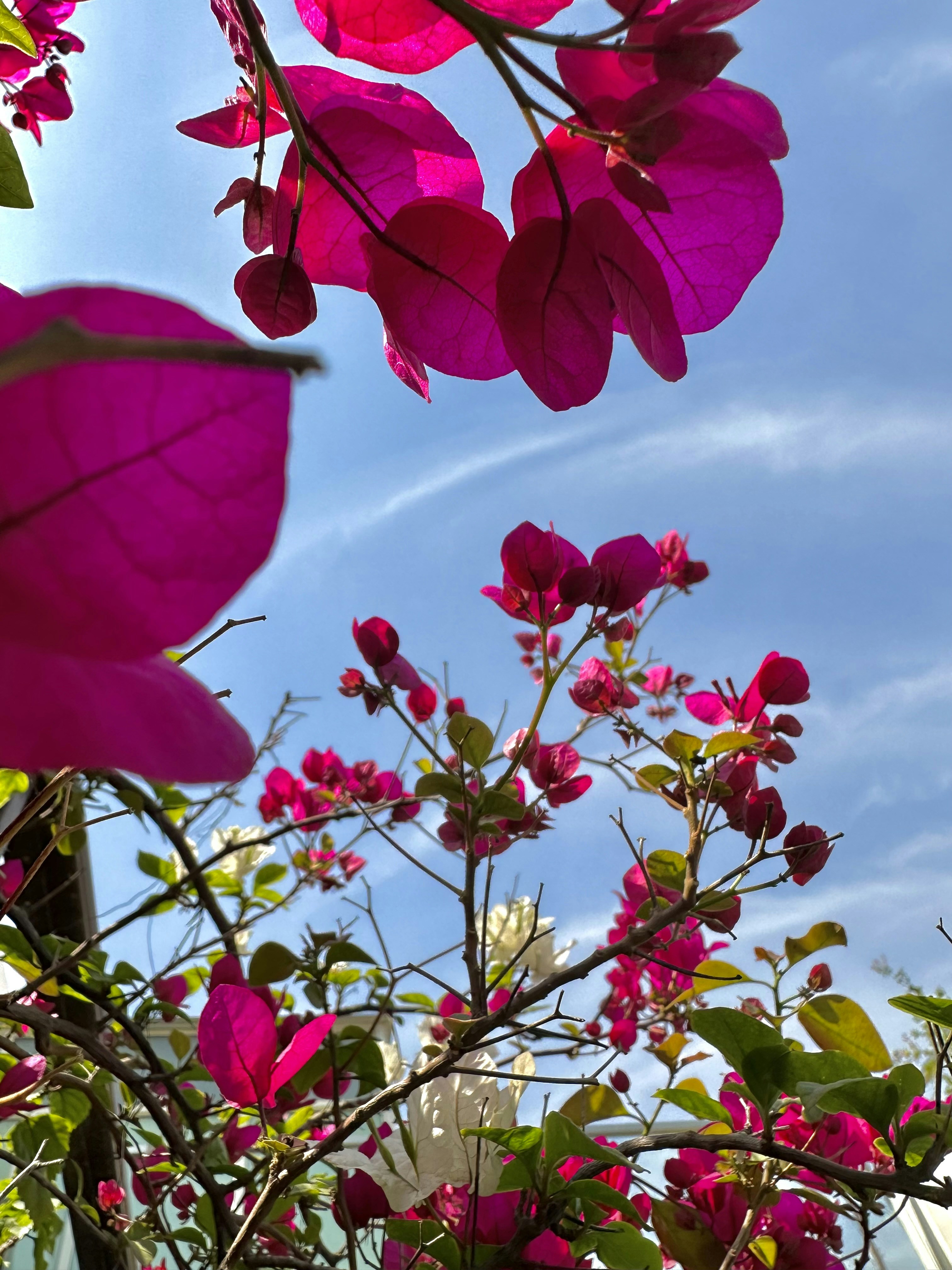 Photo by neelakshi_singh_